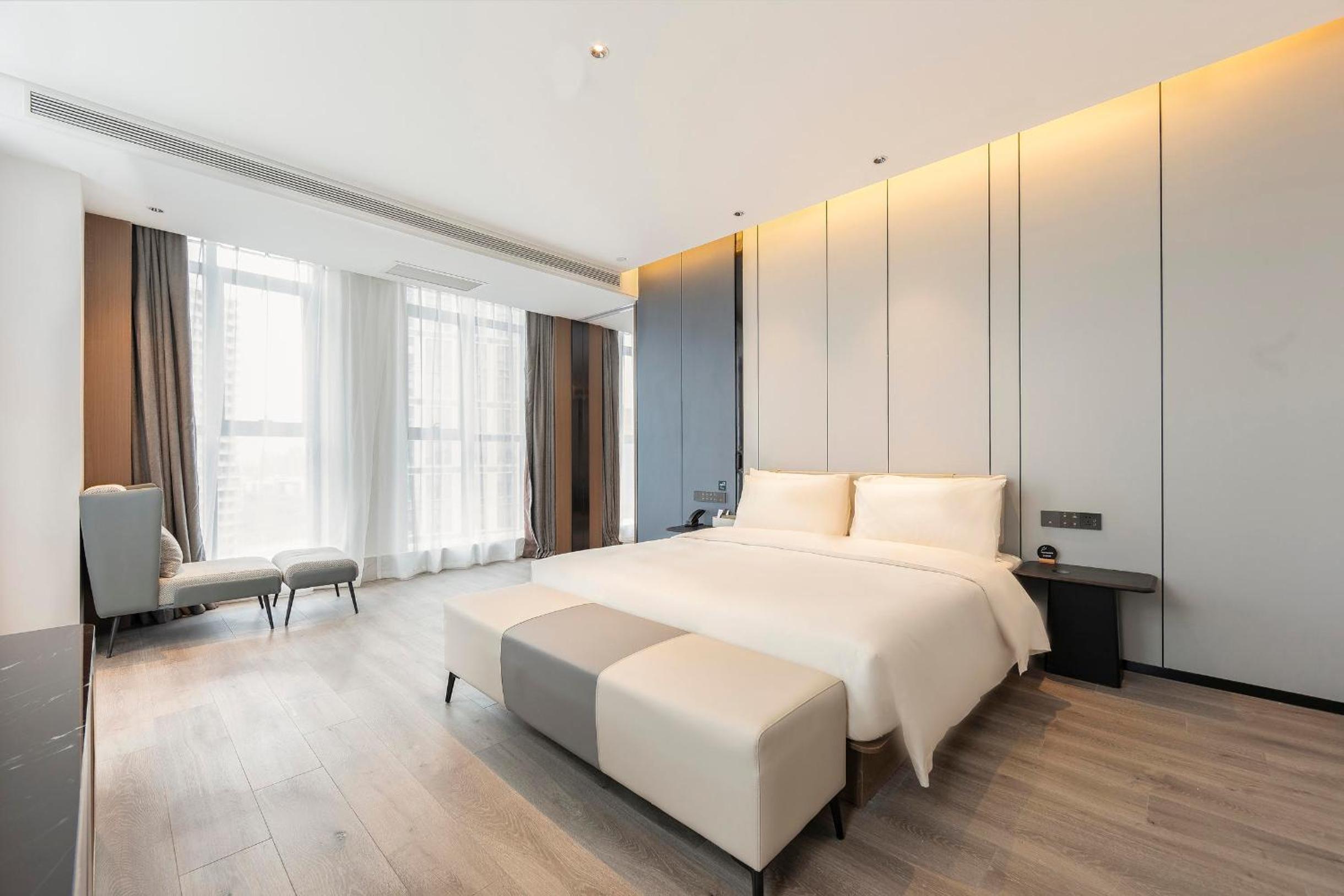 Deluxe King Suite with City View photo 1