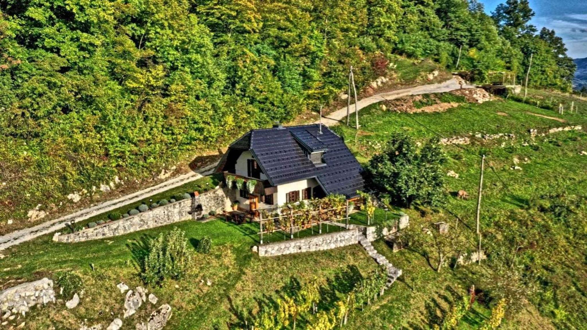 Vacation Home photo 2