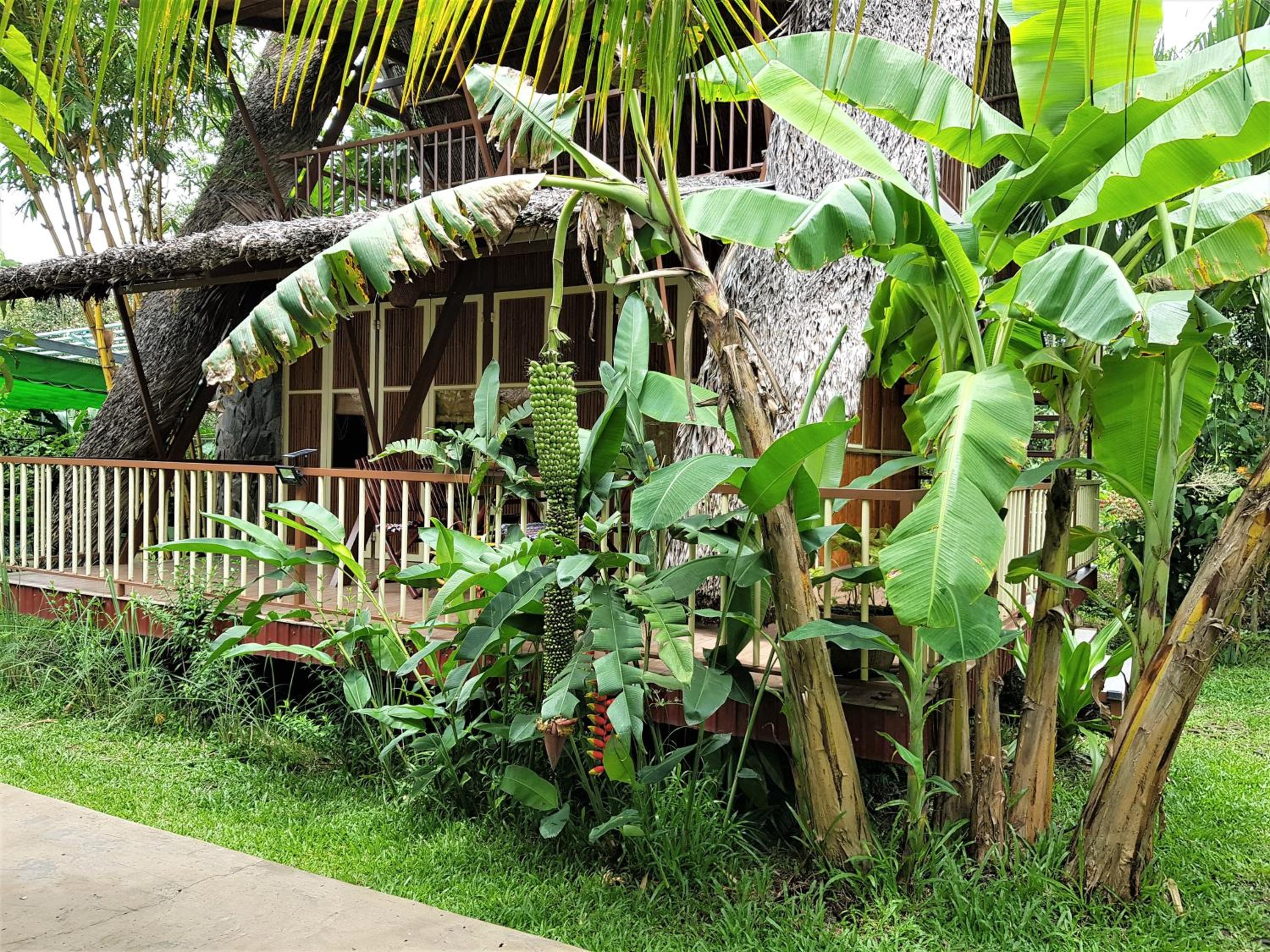 Deluxe Bungalow with Garden View photo 3