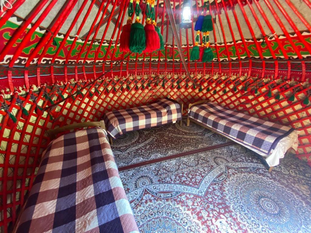 Single Bed in Mixed Dormitory Room photo 1
