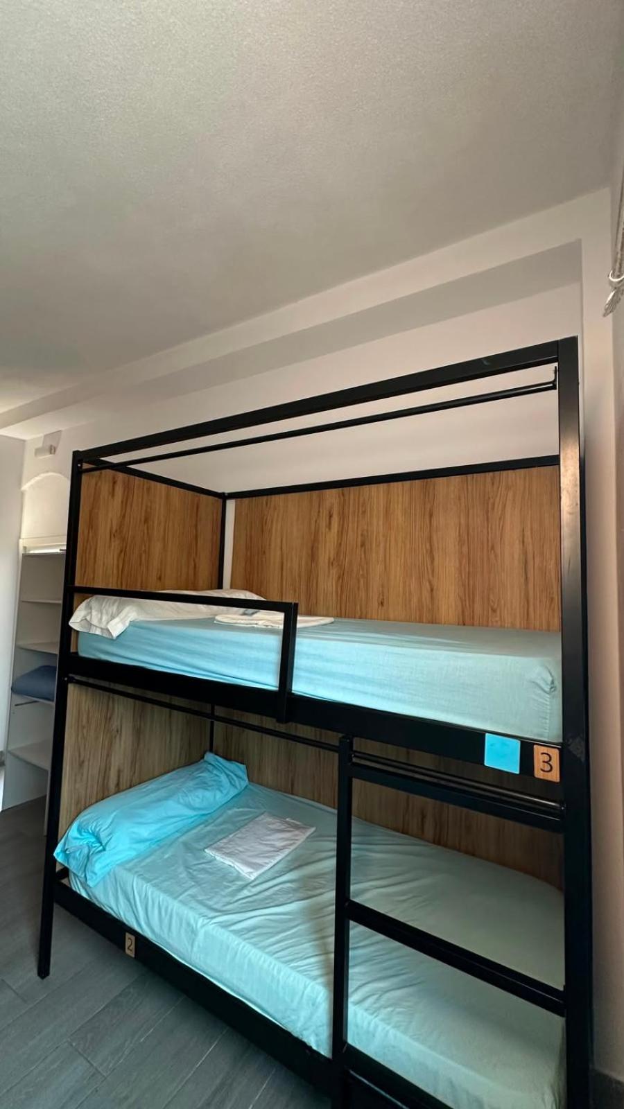 Bed in 6-Bed Mixed Dormitory Room