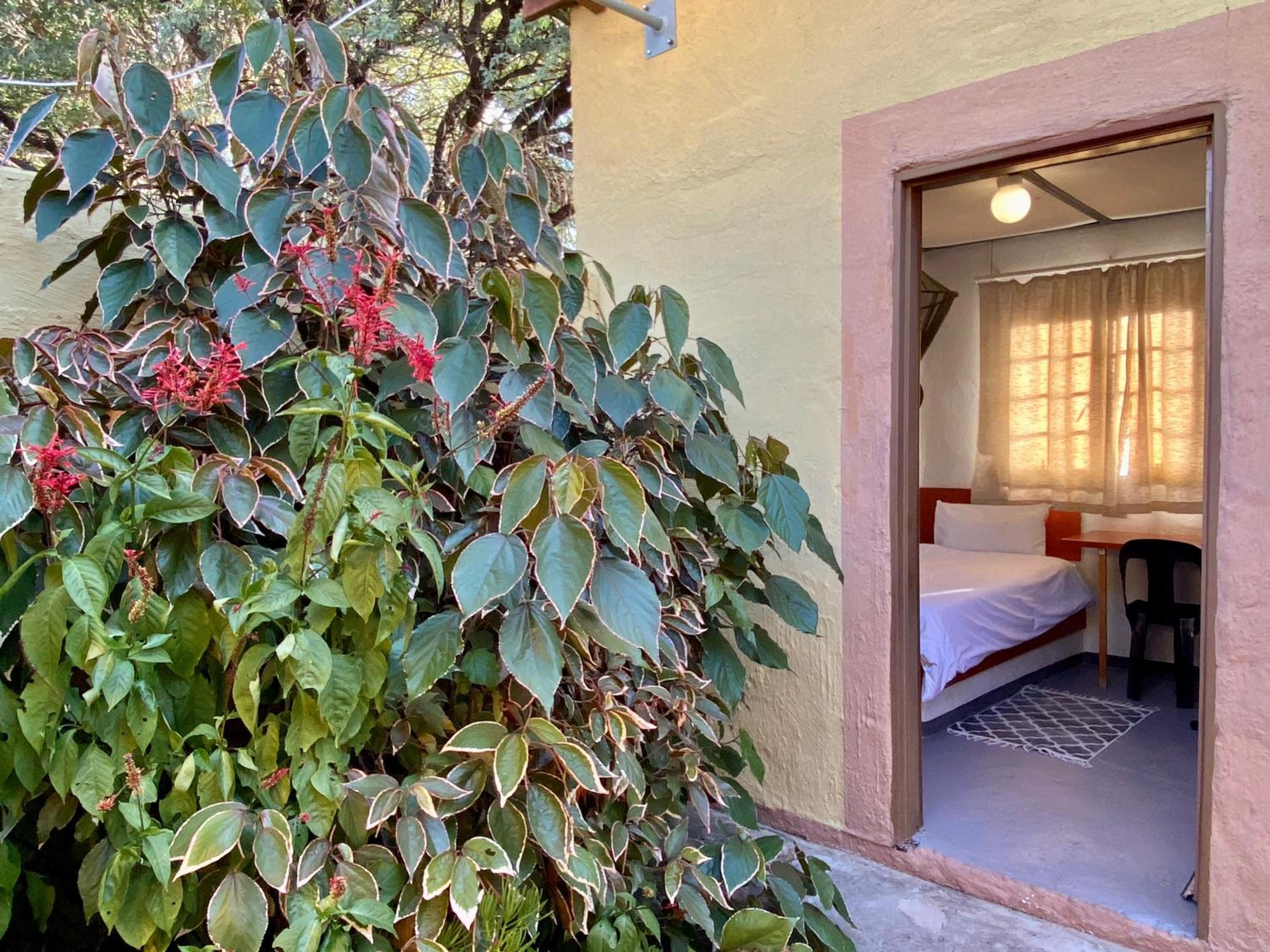 Single Room with Shared Shower and Toilet photo 3