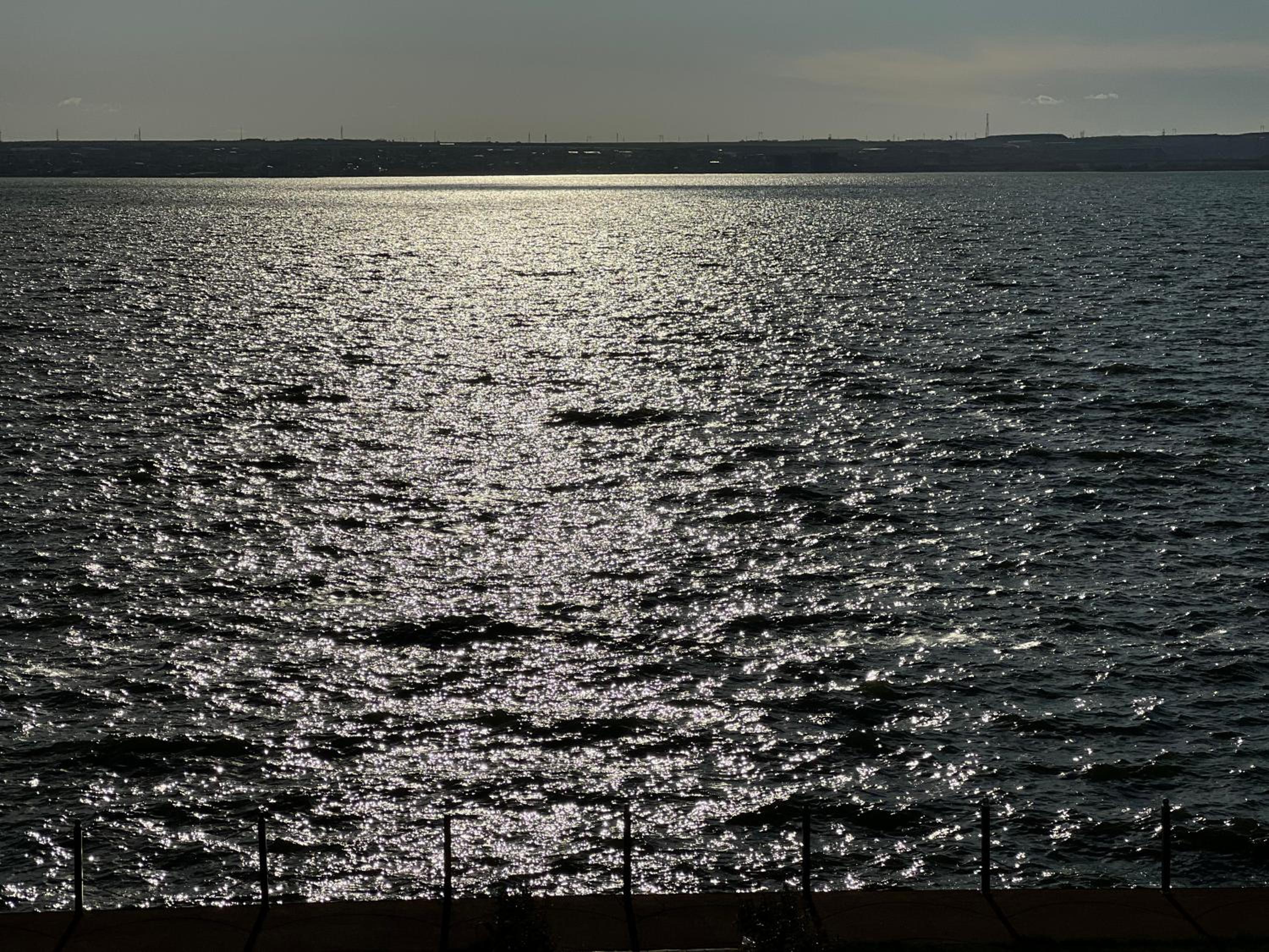 Studio with Lake View photo 3