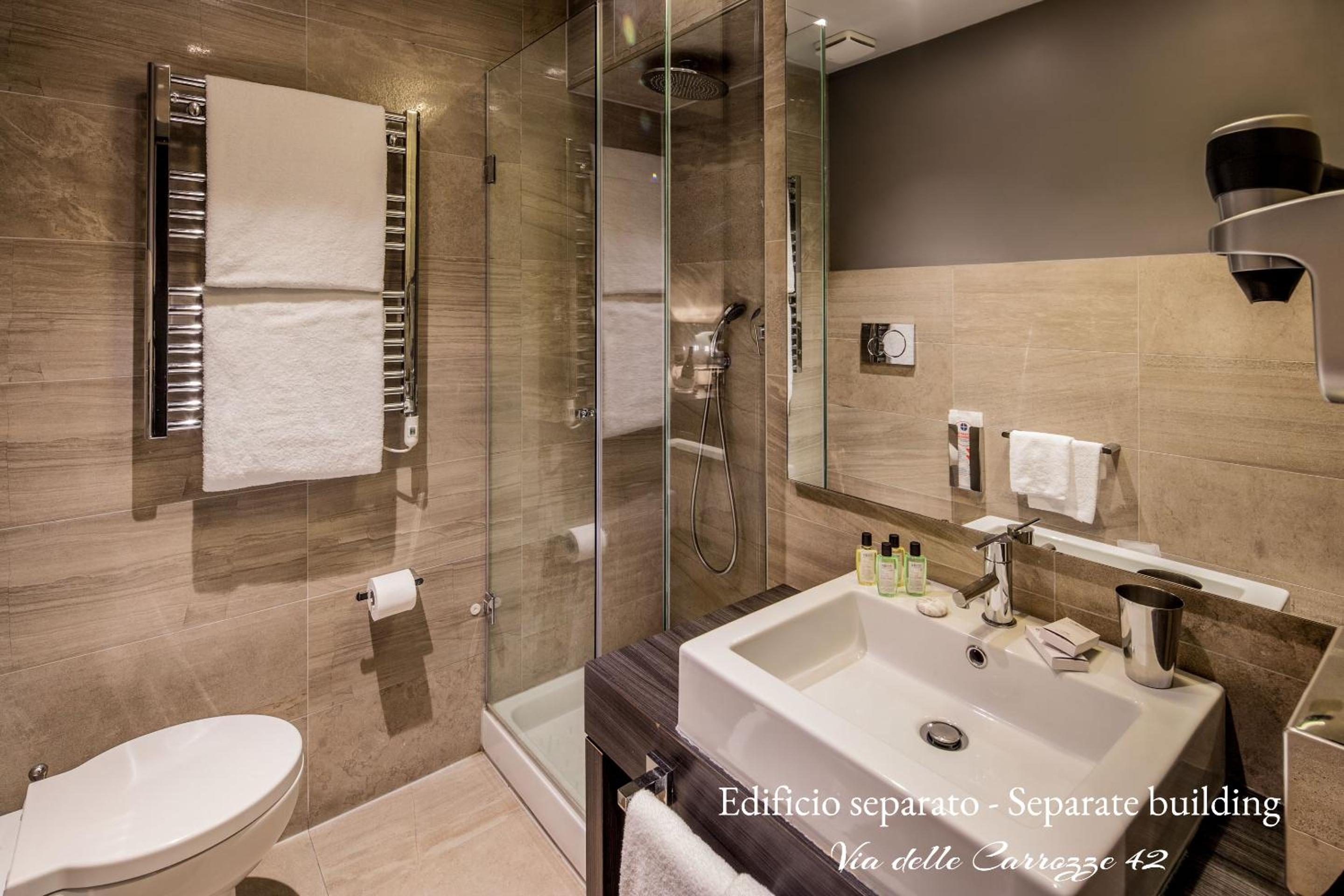 Standard Double Room - Via delle Carrozze 42