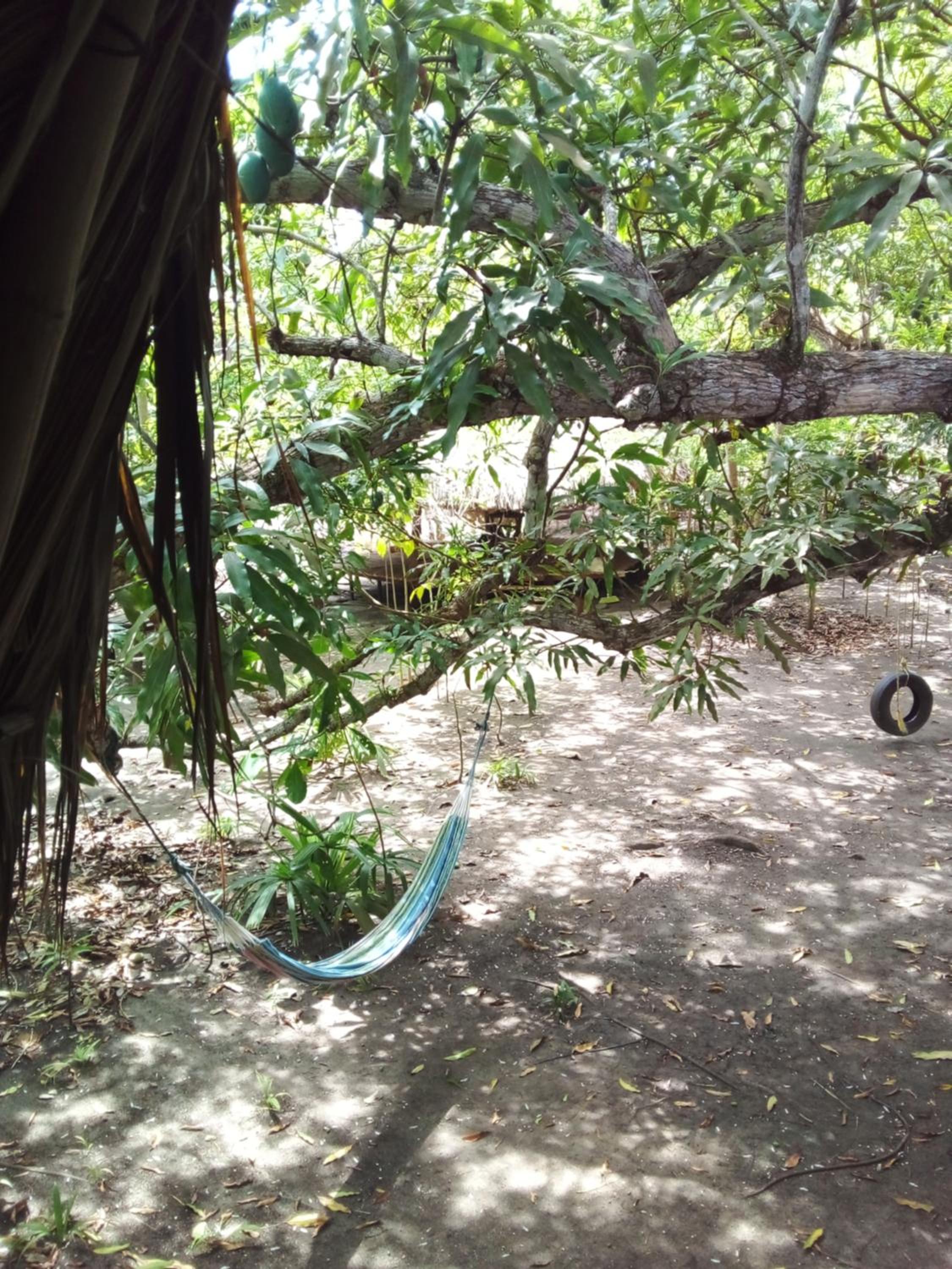 Double Room with Garden View photo 3