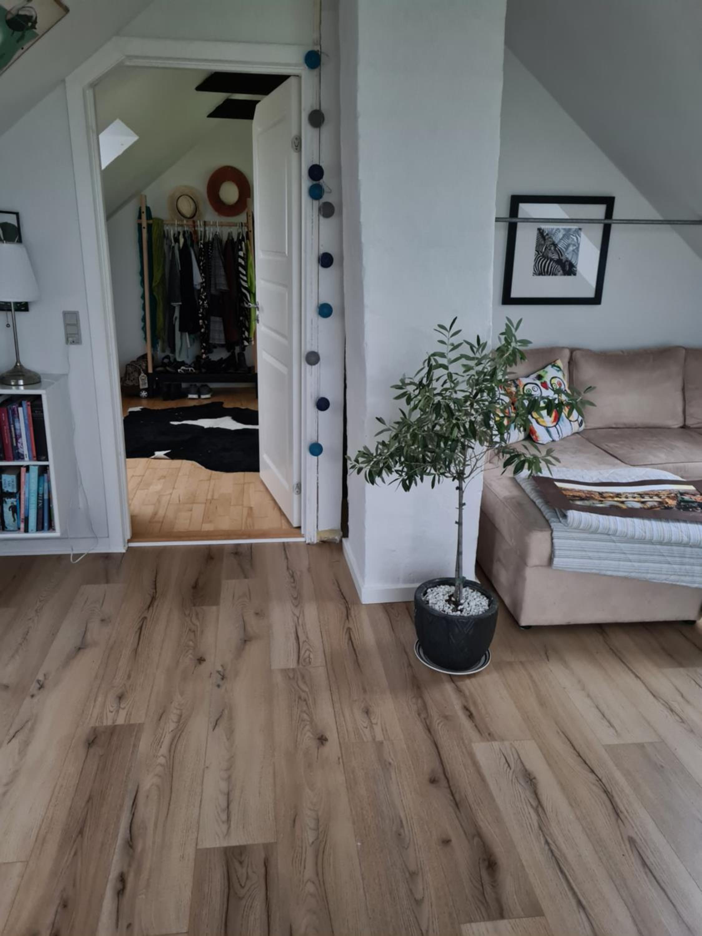 One-Bedroom House photo 1