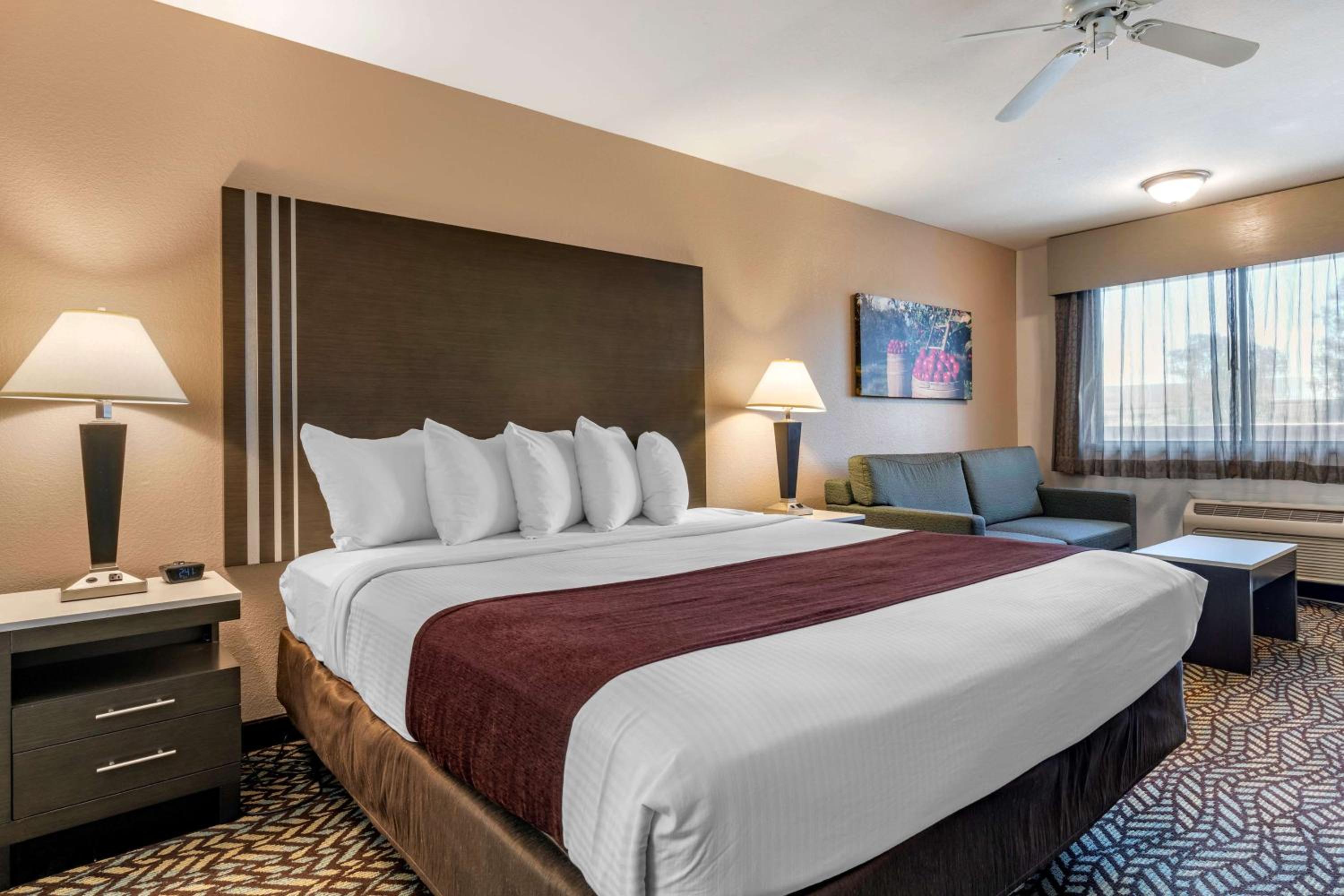 Business King Room - Non-Smoking - Photo 1