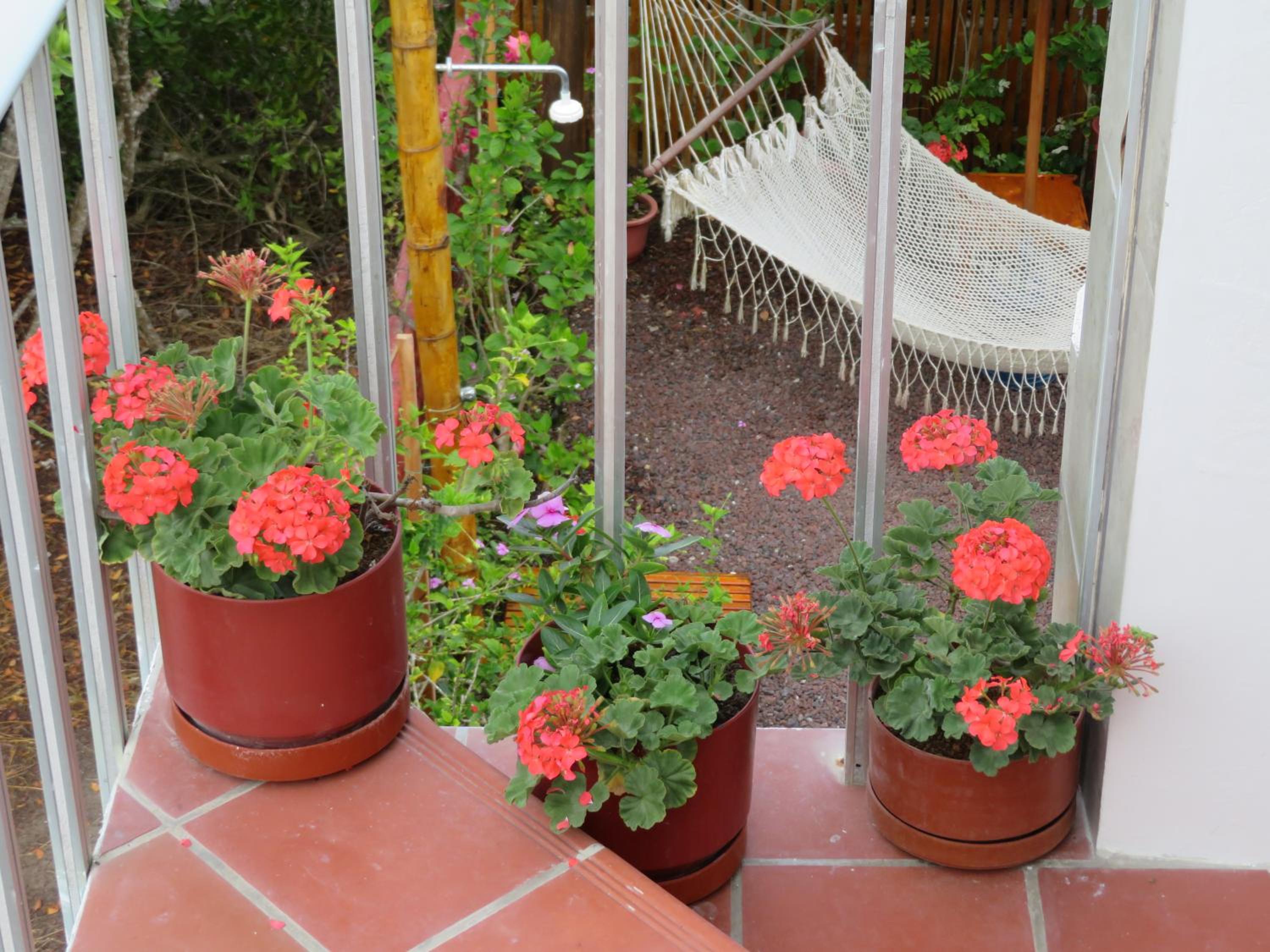 Double or Twin Room with Side Sea View photo 2