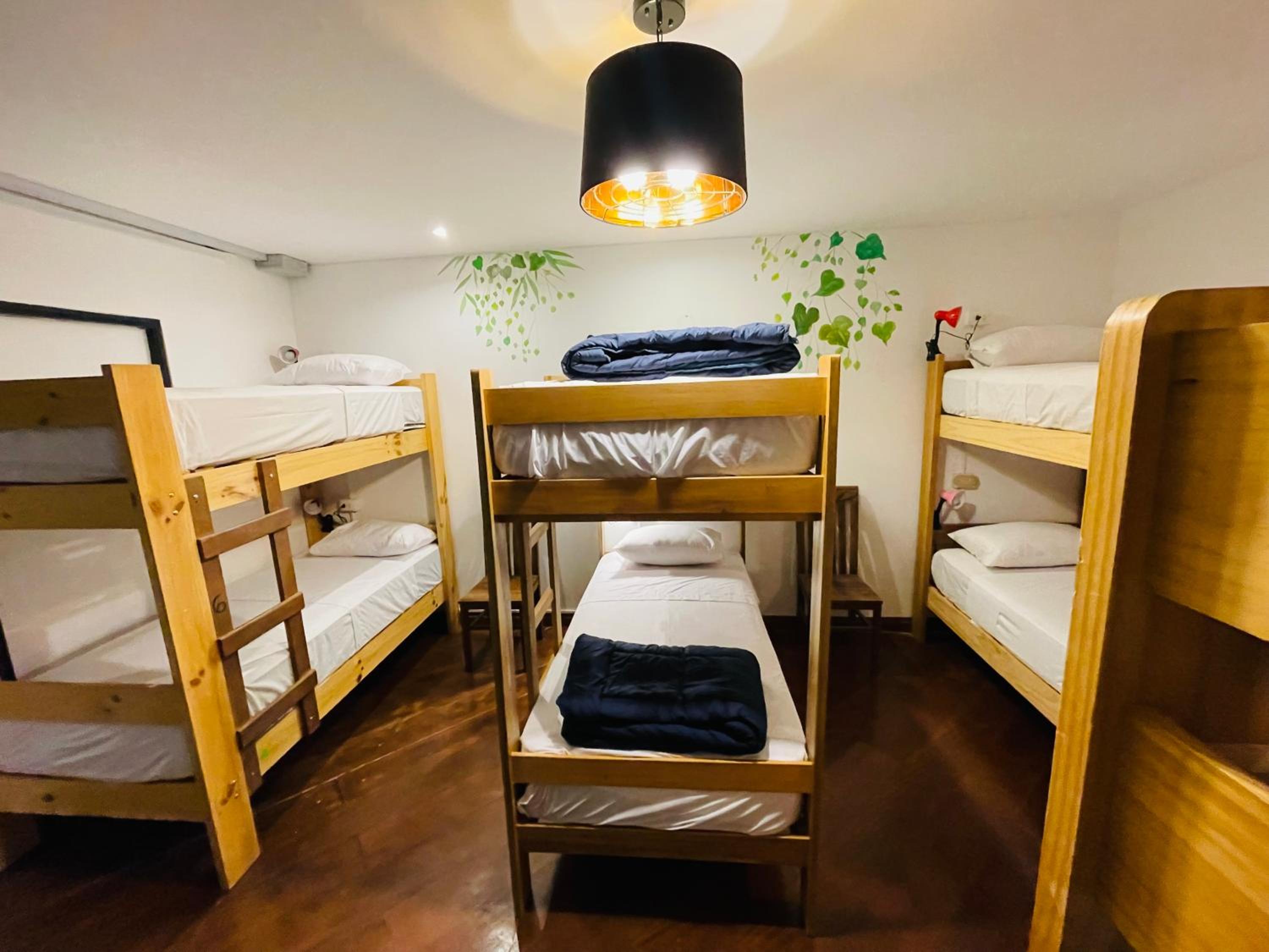 8-Bed Mixed Dormitory Room photo 1