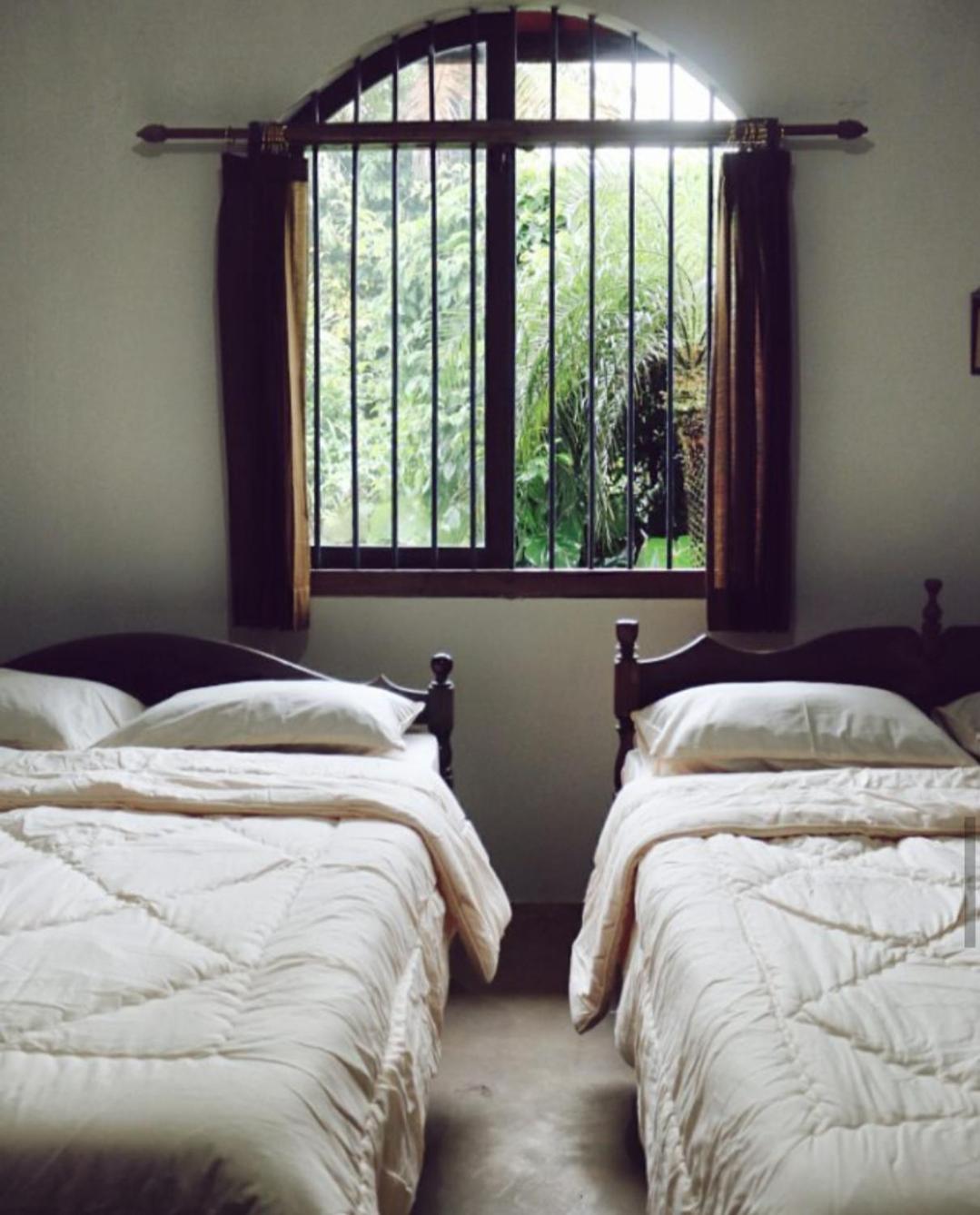 Double Room with Garden View photo 3