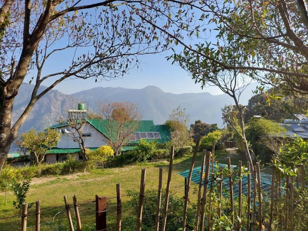 Bungalow With Garden View photo 2