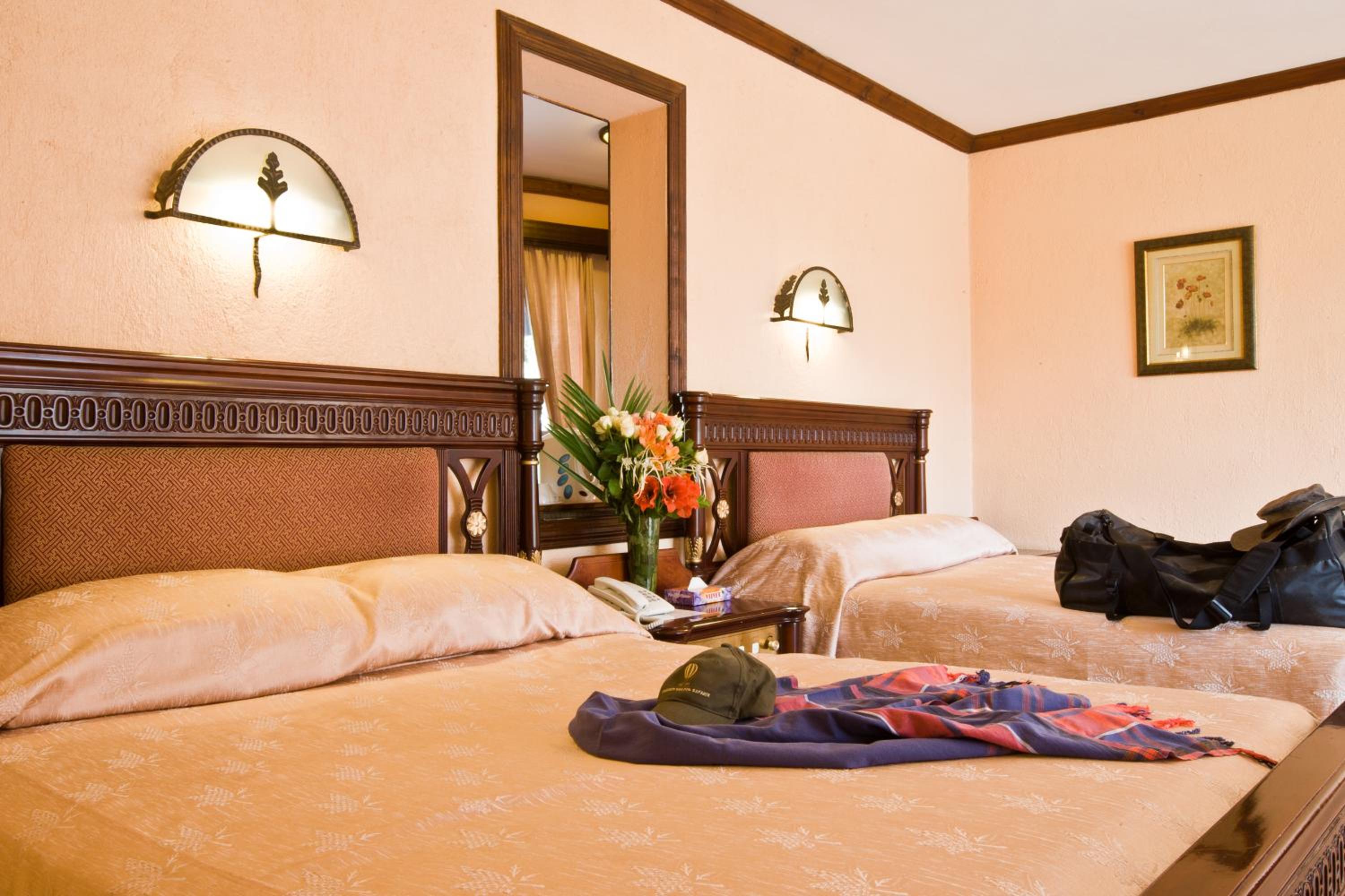 Deluxe Double or Twin Room