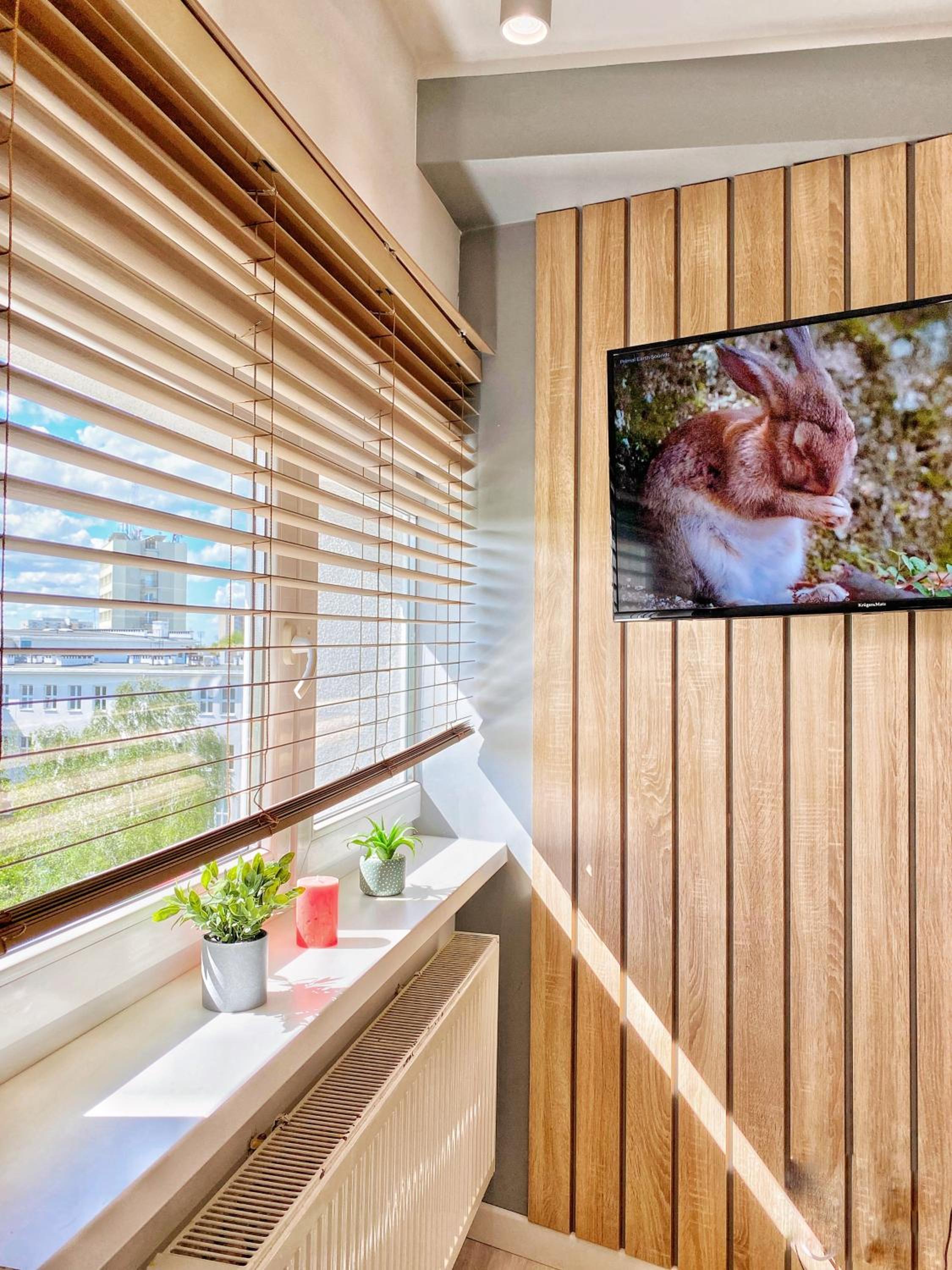 Superior Apartment photo 2