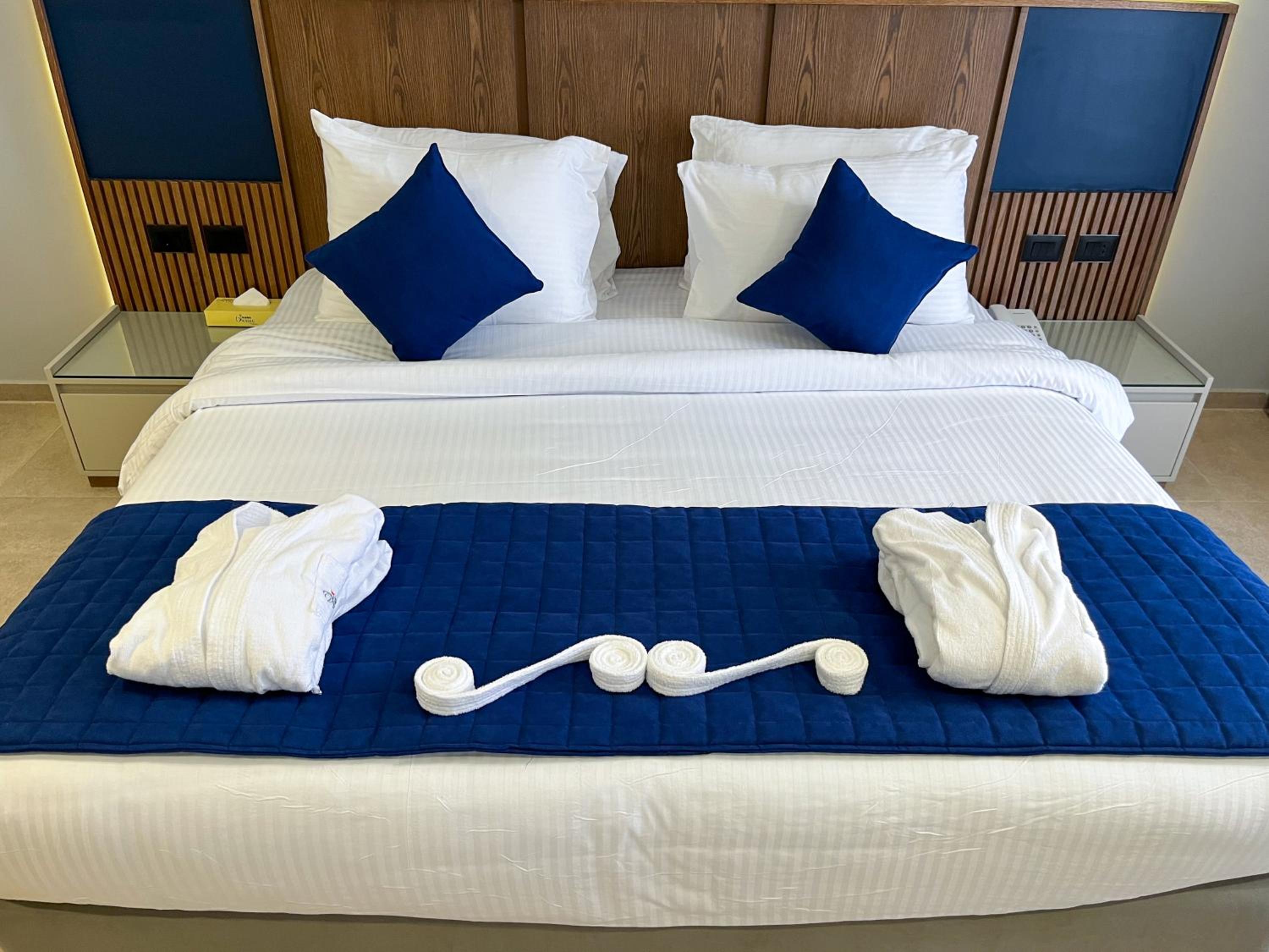 Superior Double or Twin Room - Photo 4