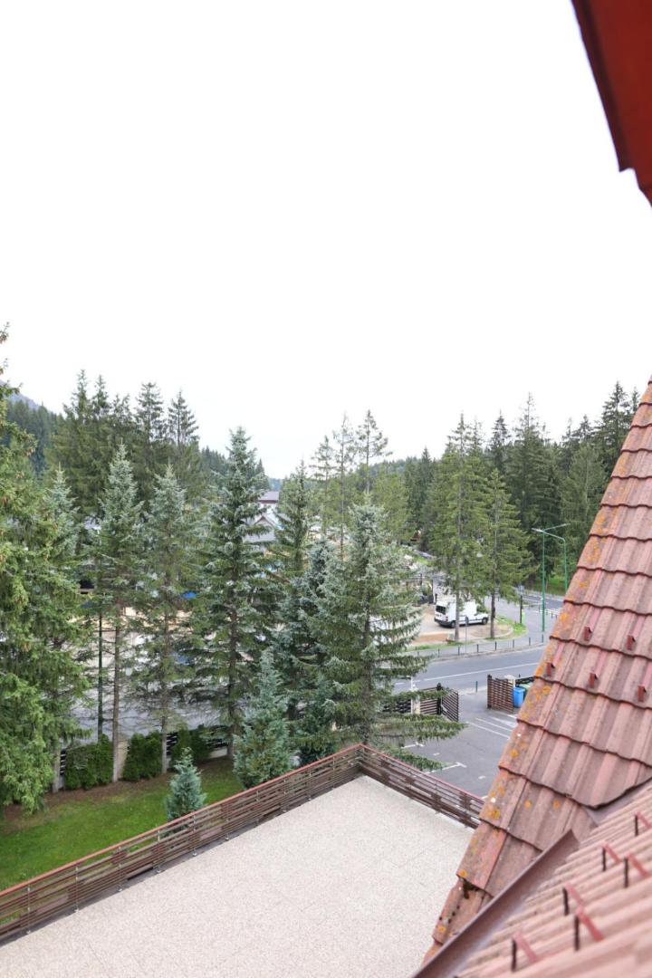 Apartment with Mountain View - Photo 13