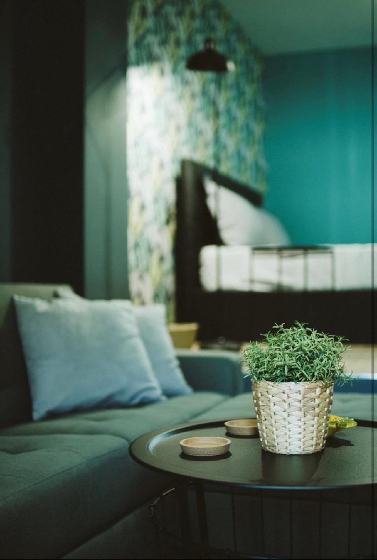 One-Bedroom House - Photo 11