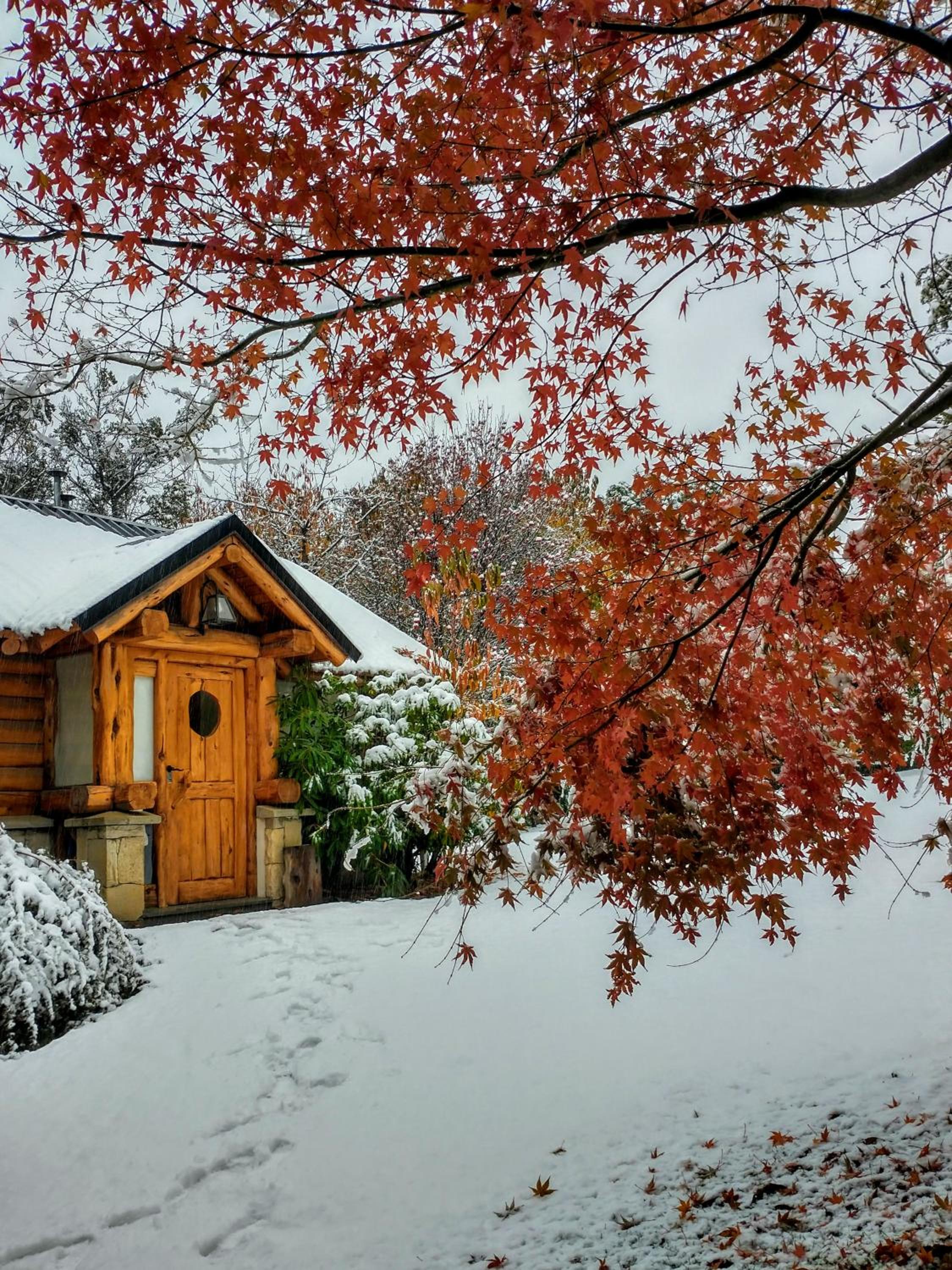 Chalet photo 2