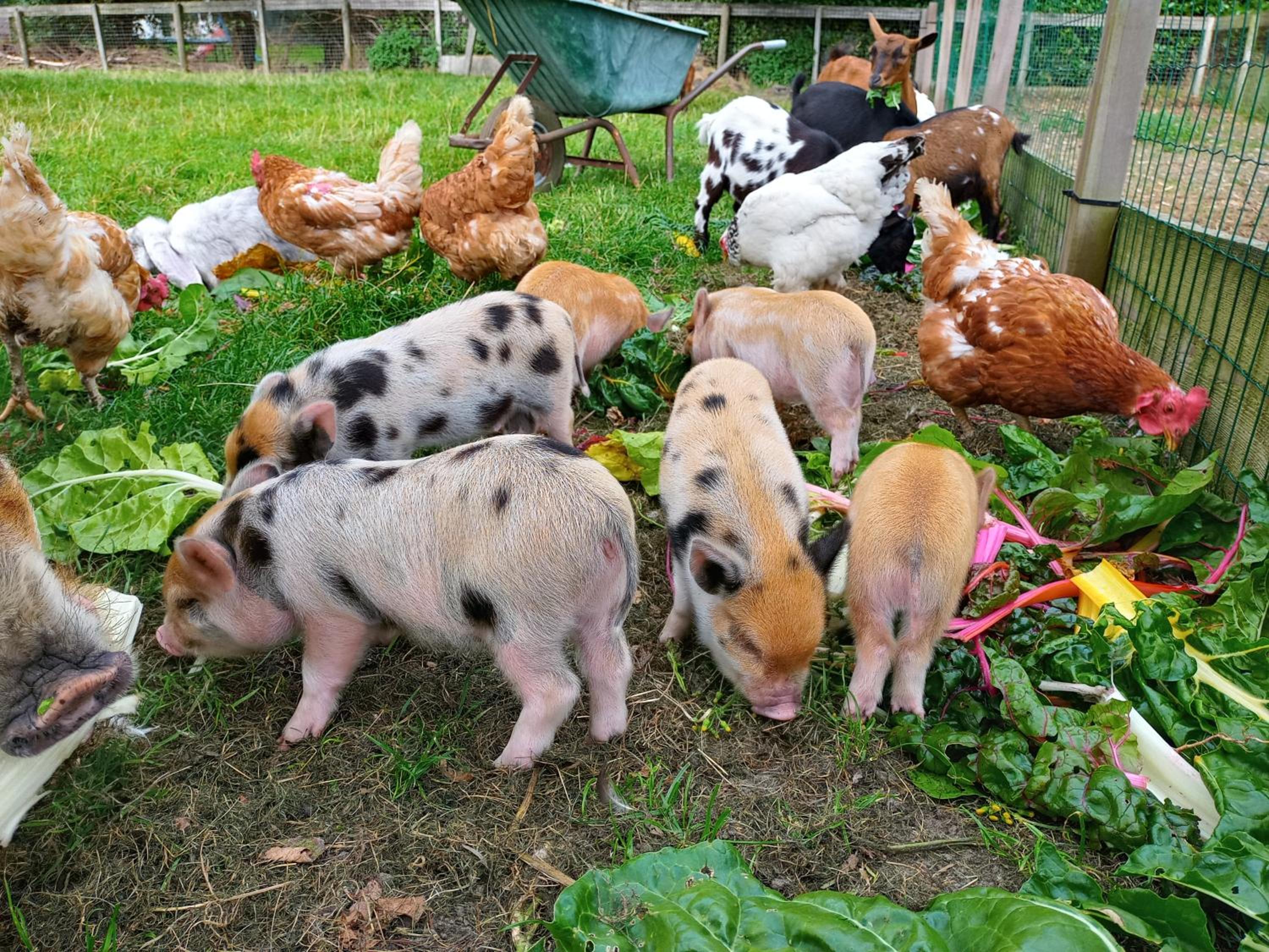 Two-Bedroom House - Photo 11