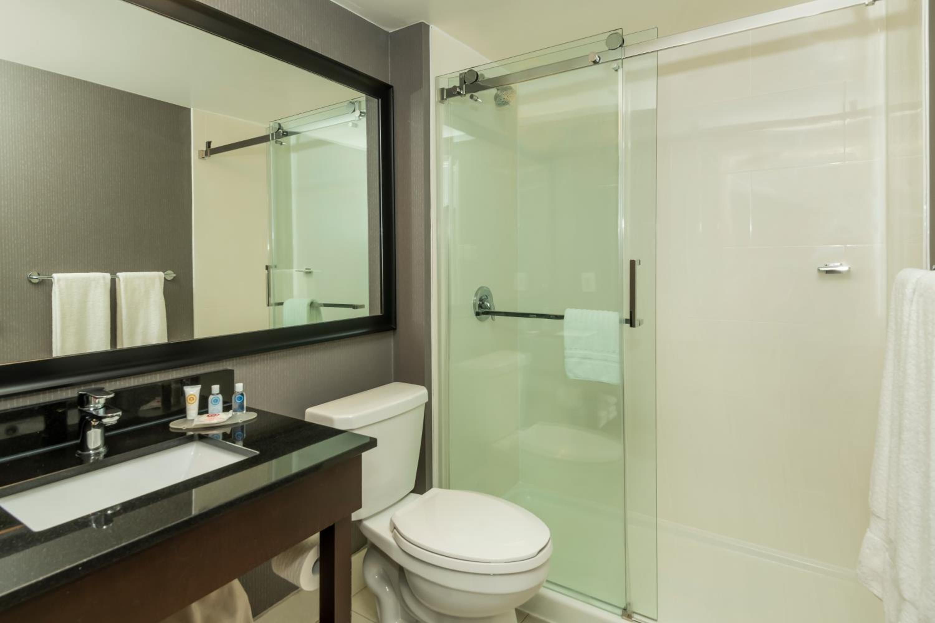 1 King Bed, Non-Smoking, Ground floor/Pet Friendly photo 2