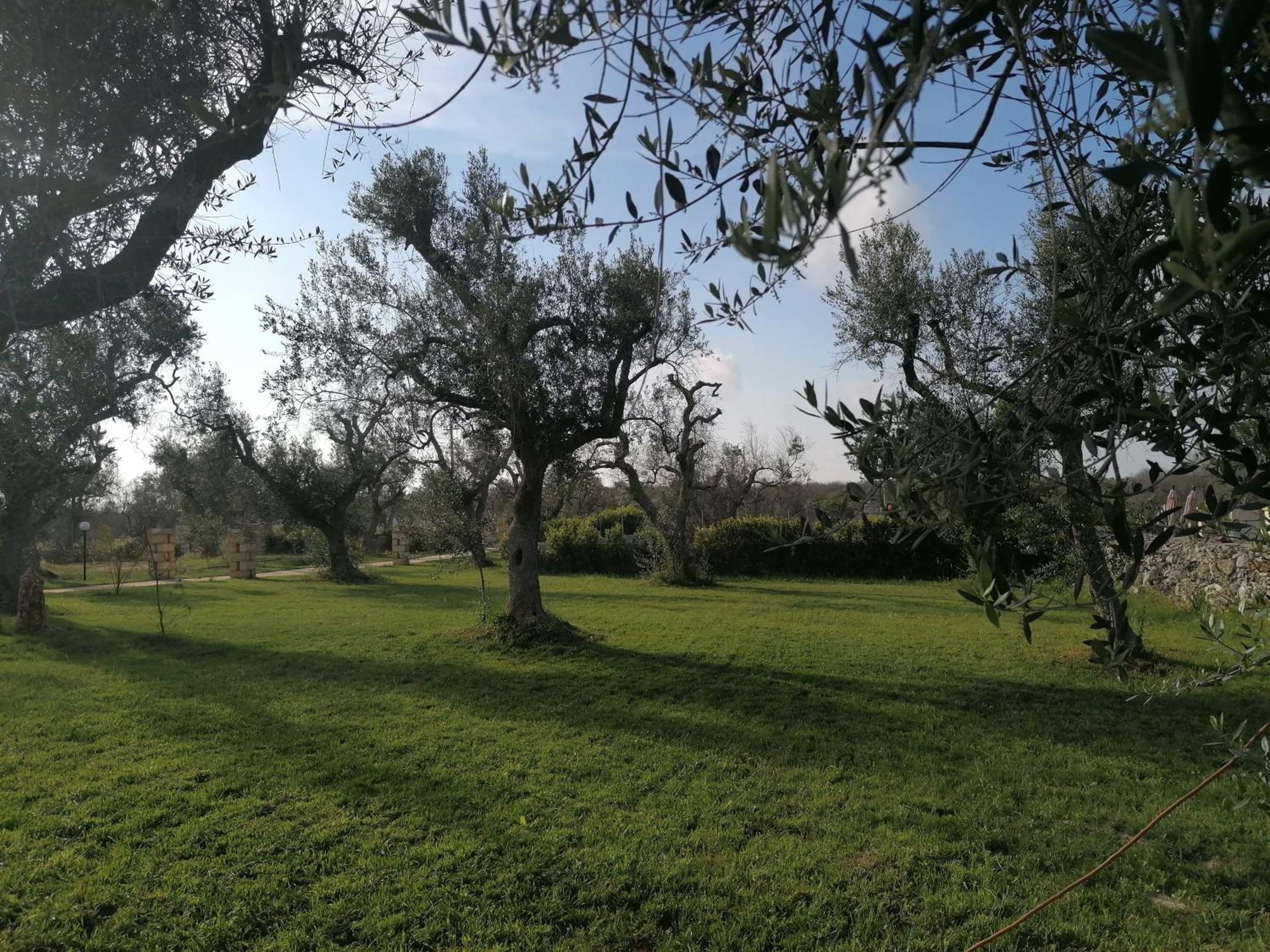 Double Room with Garden View - Photo 26