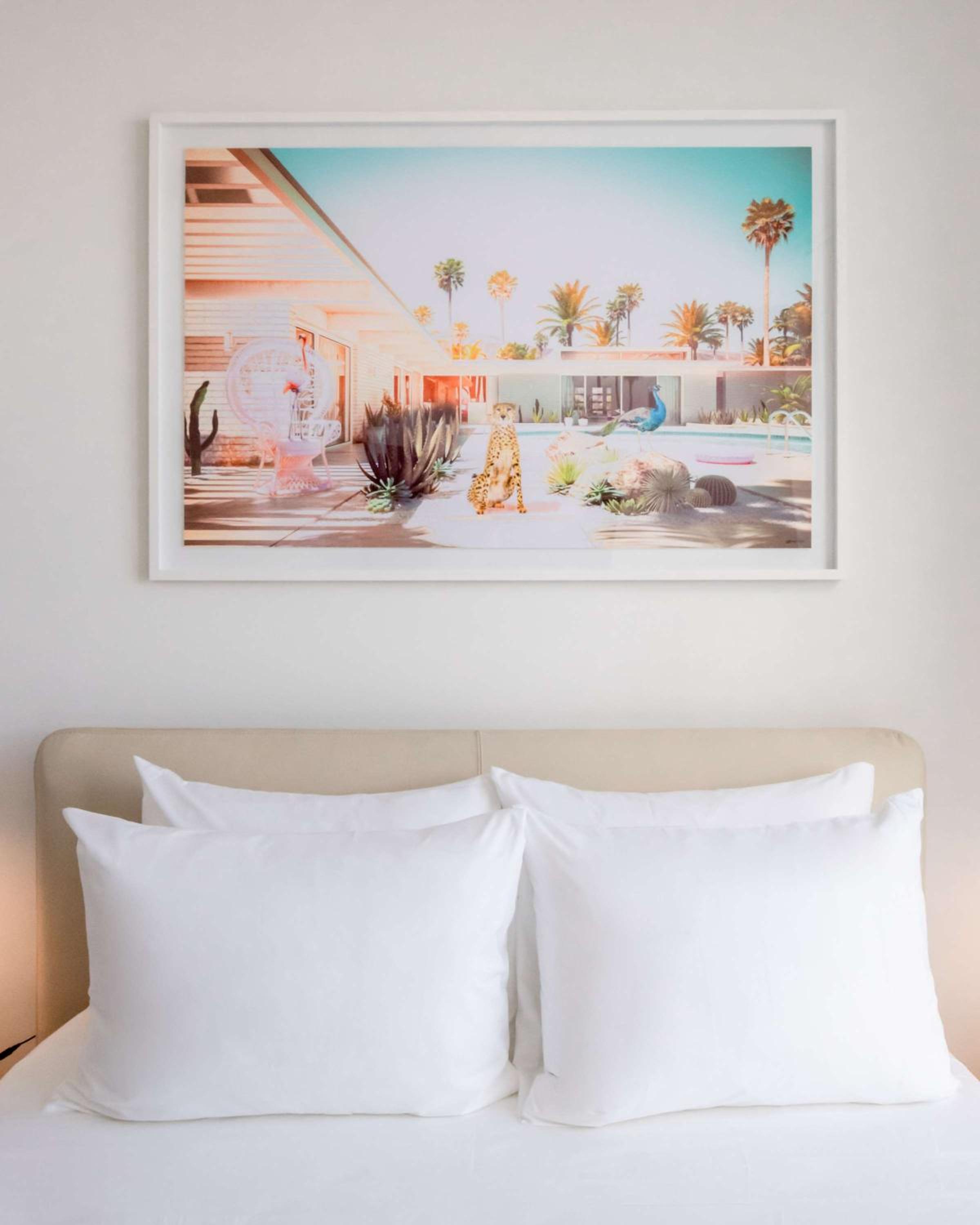 One Bedroom PAD Plus photo 3