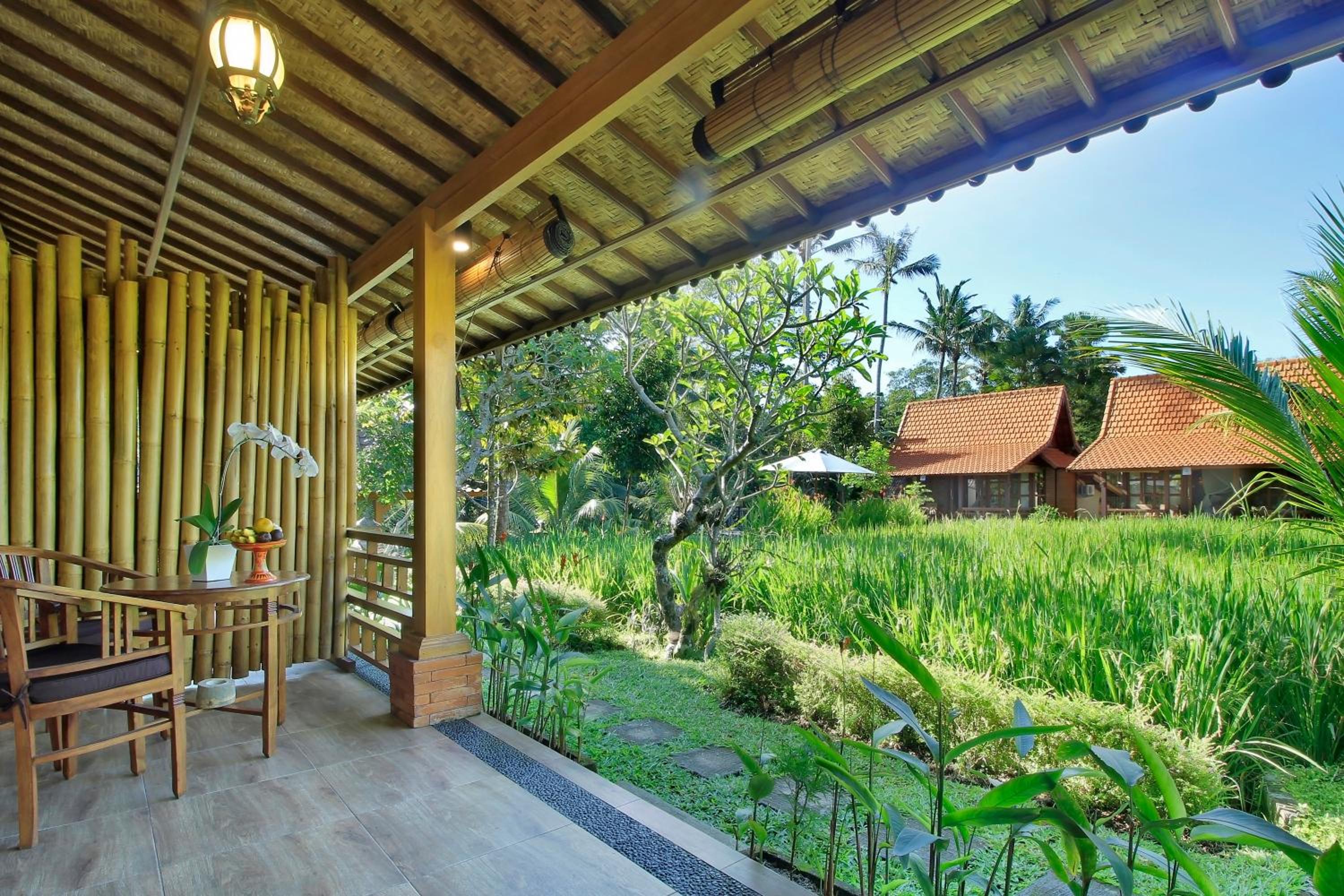 One-Bedroom Villa - Photo 7