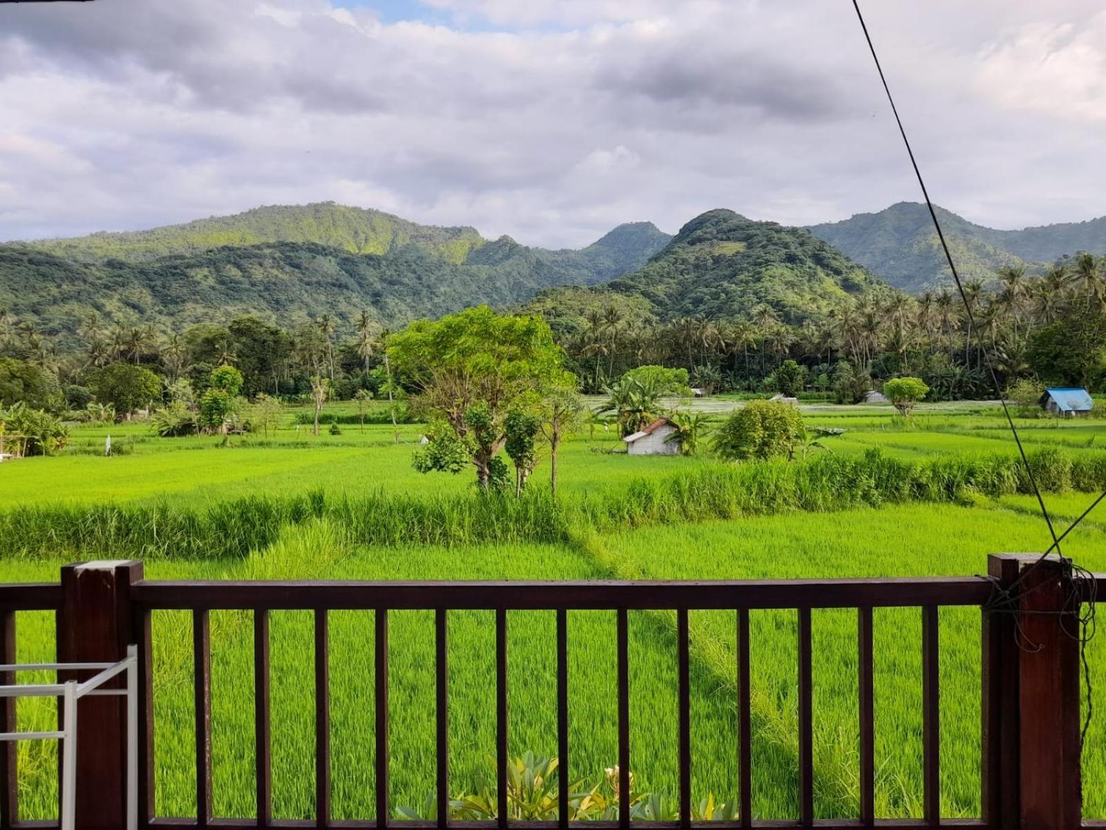 Double or Twin Room with View - Photo 4
