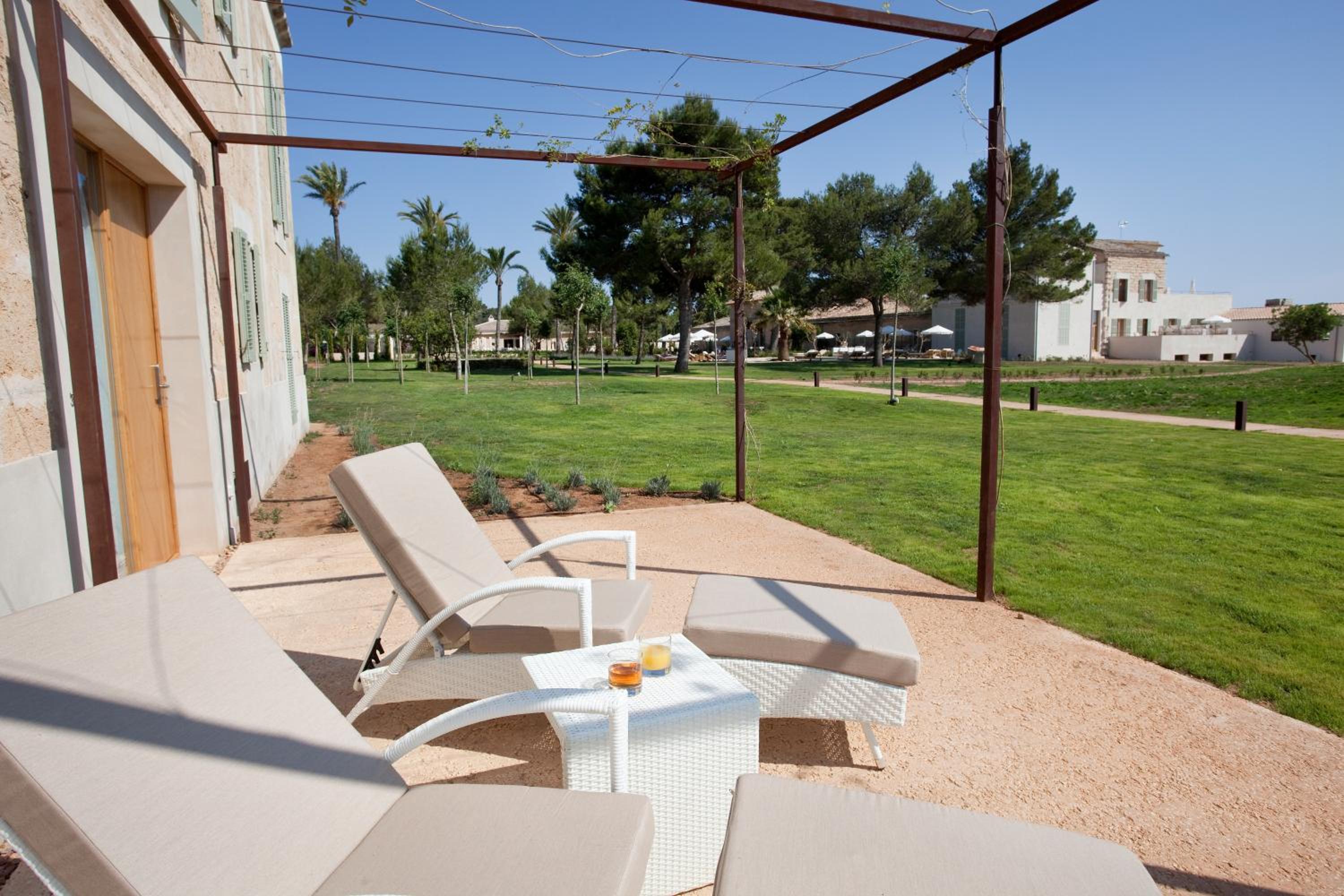 Suite con Terraza Suite con Terraza