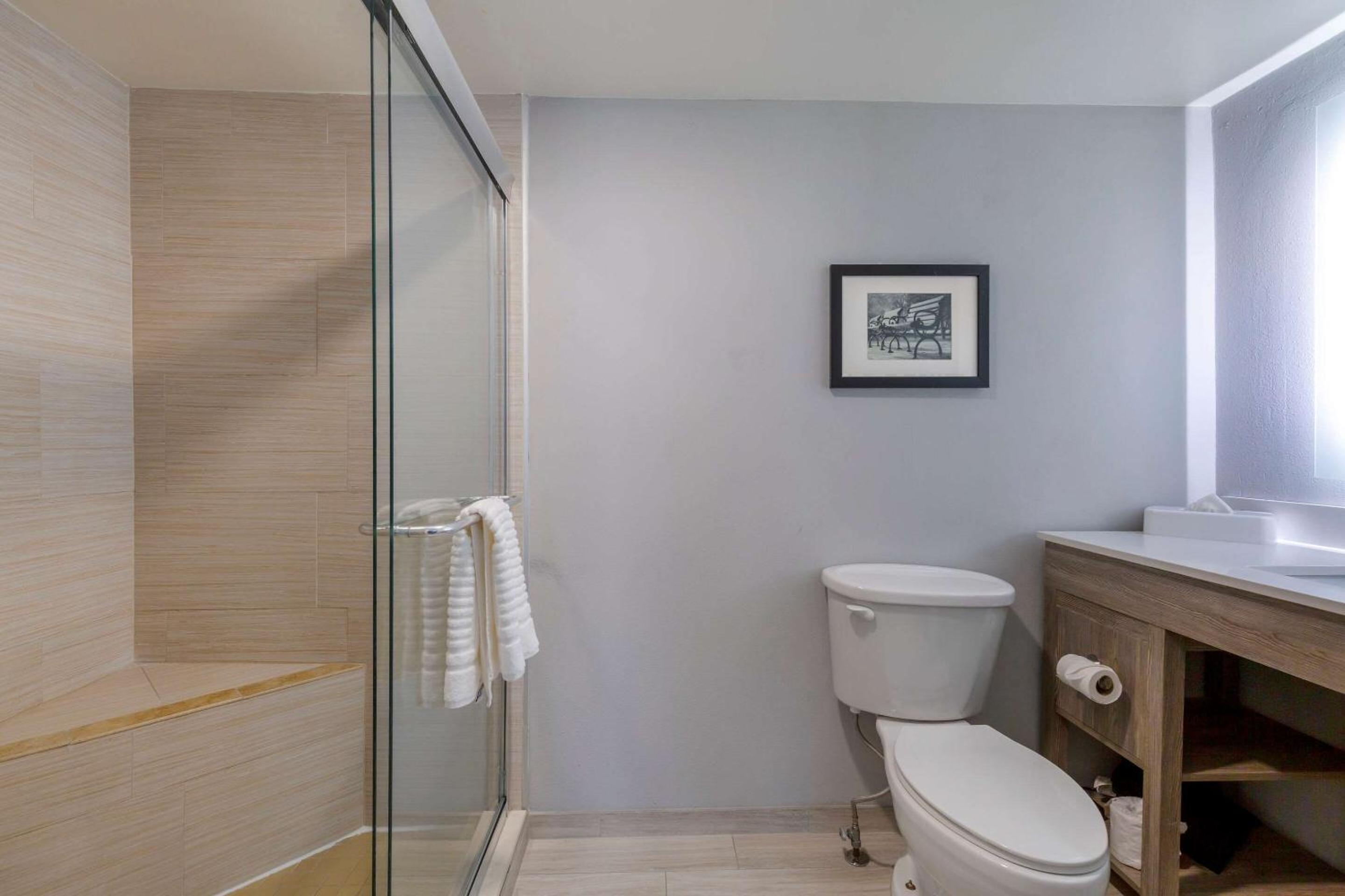 King Suite - Photo 2