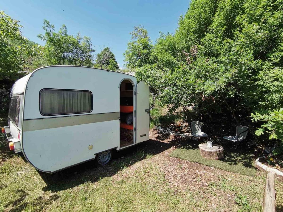 Mobile Home photo 3