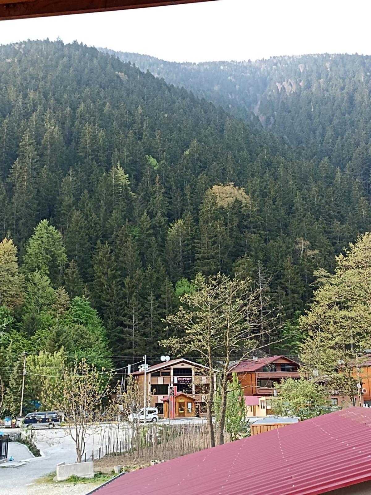 Triple Room with Balcony photo 2