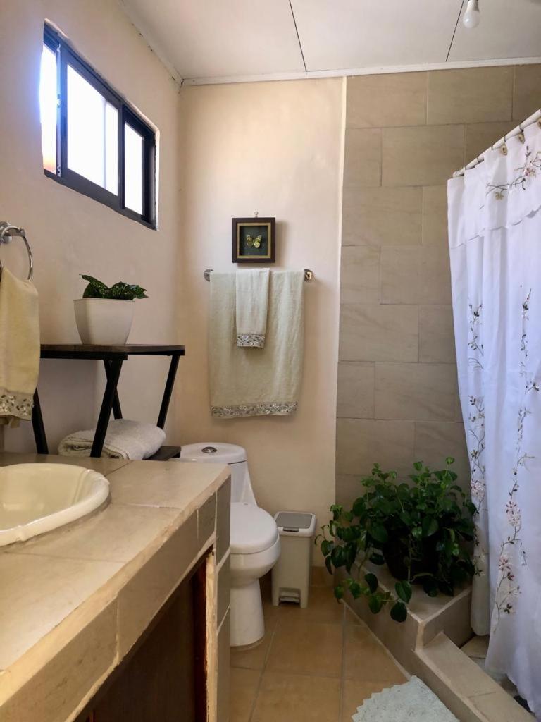 Double Room with Private Bathroom photo 3