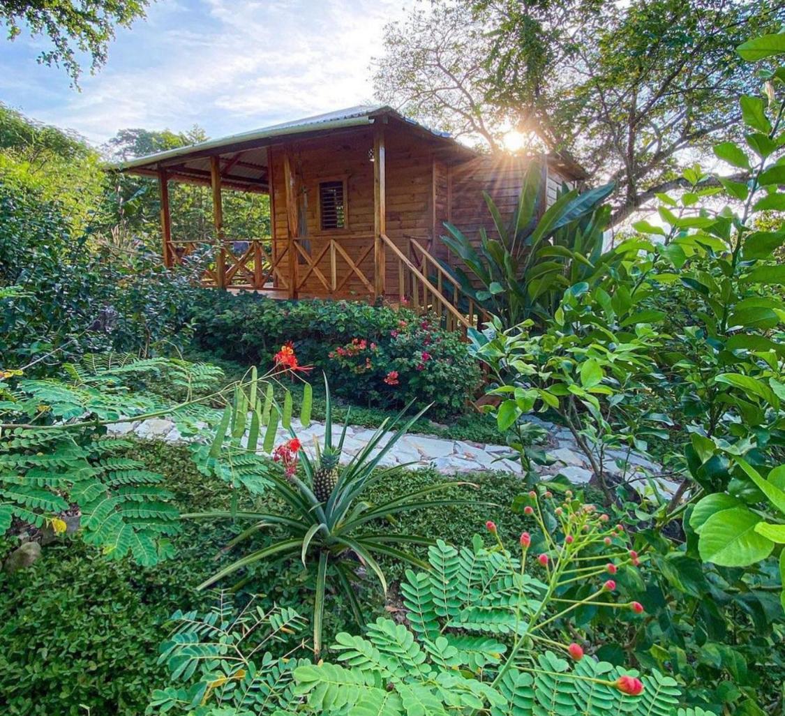 Villa with Garden View photo 2