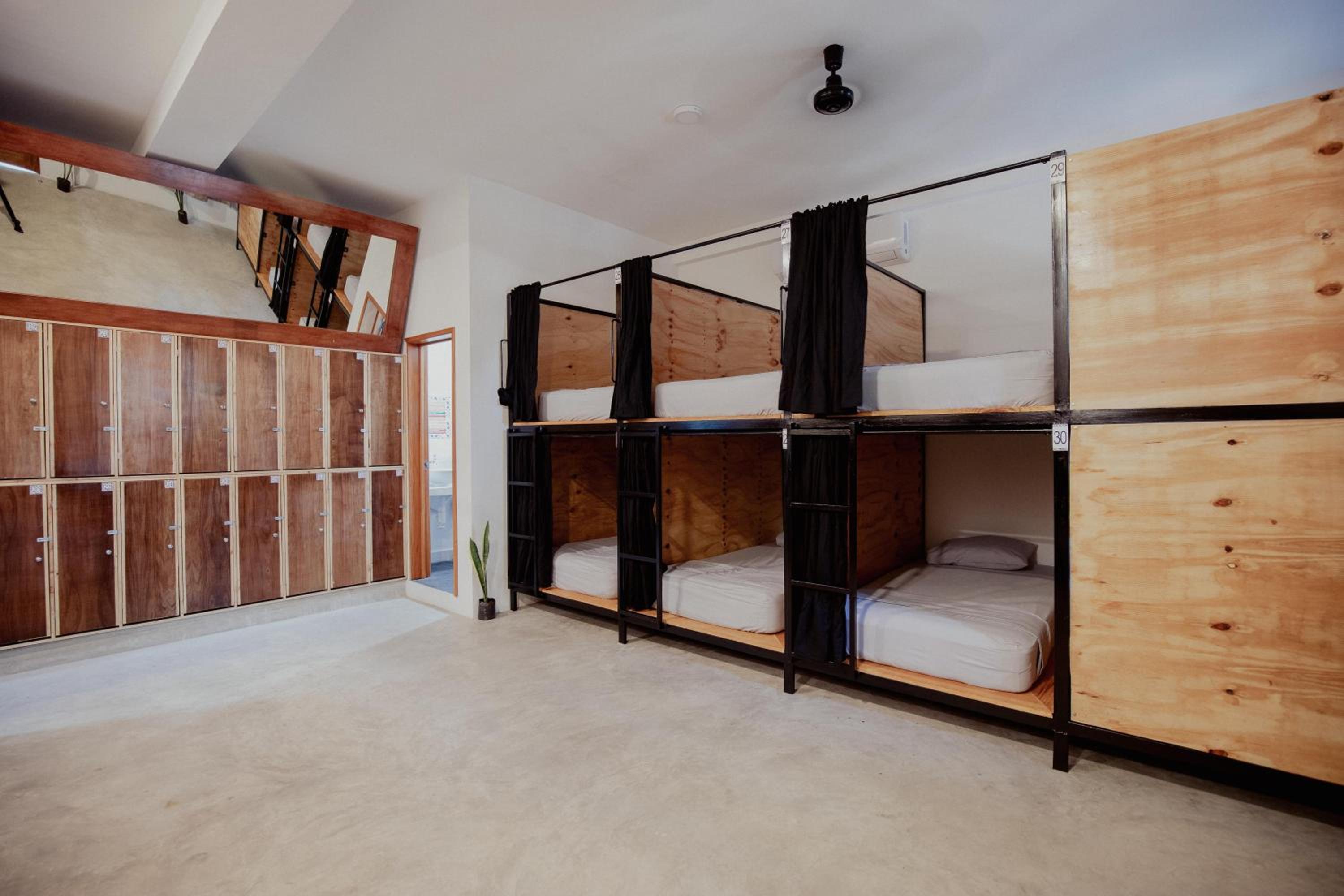 Bunk Bed in Mixed Dormitory Room