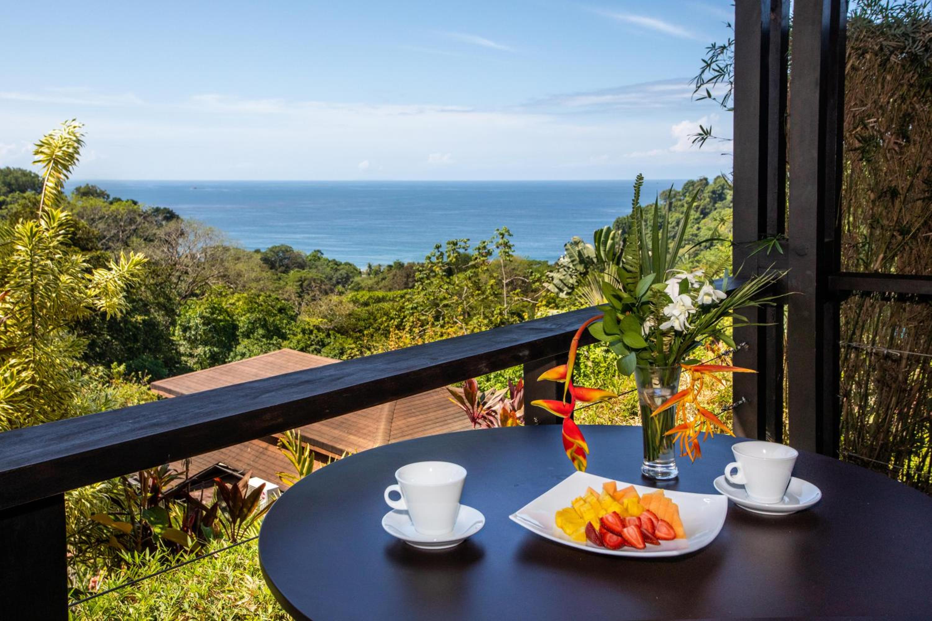 Superior Villa photo 1