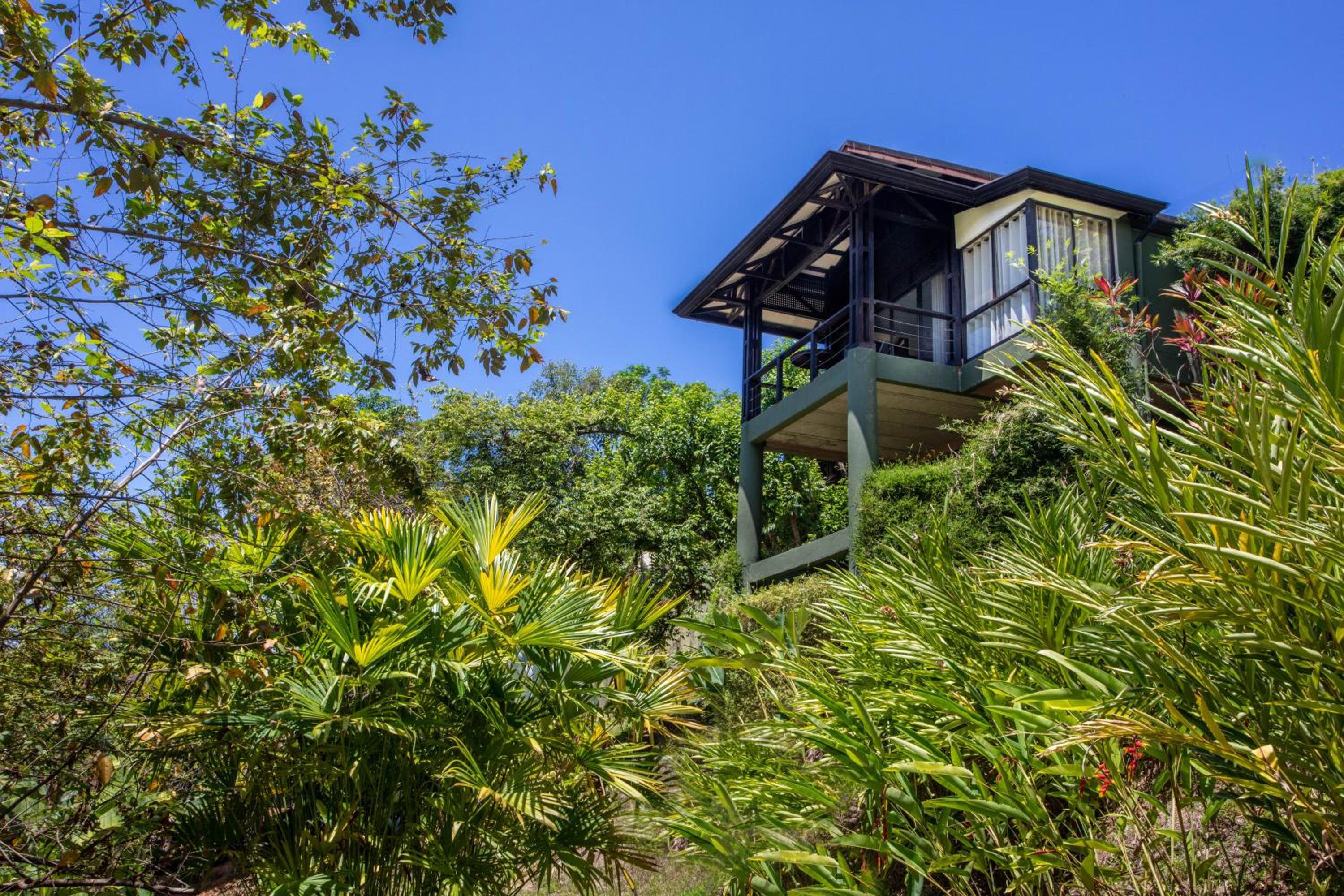 Superior Villa photo 3