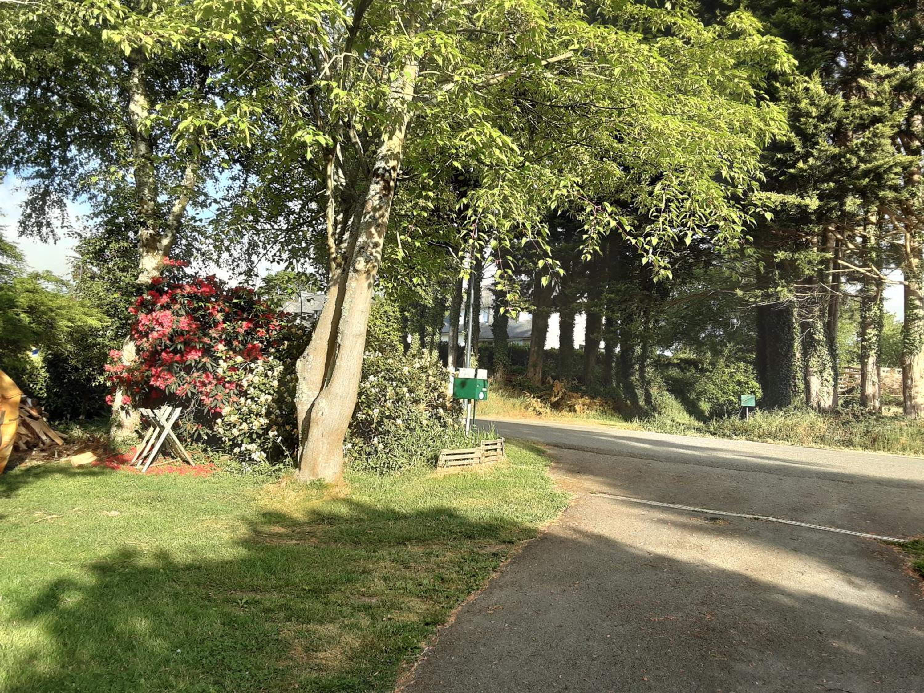 Double Room with Garden View - Photo 3
