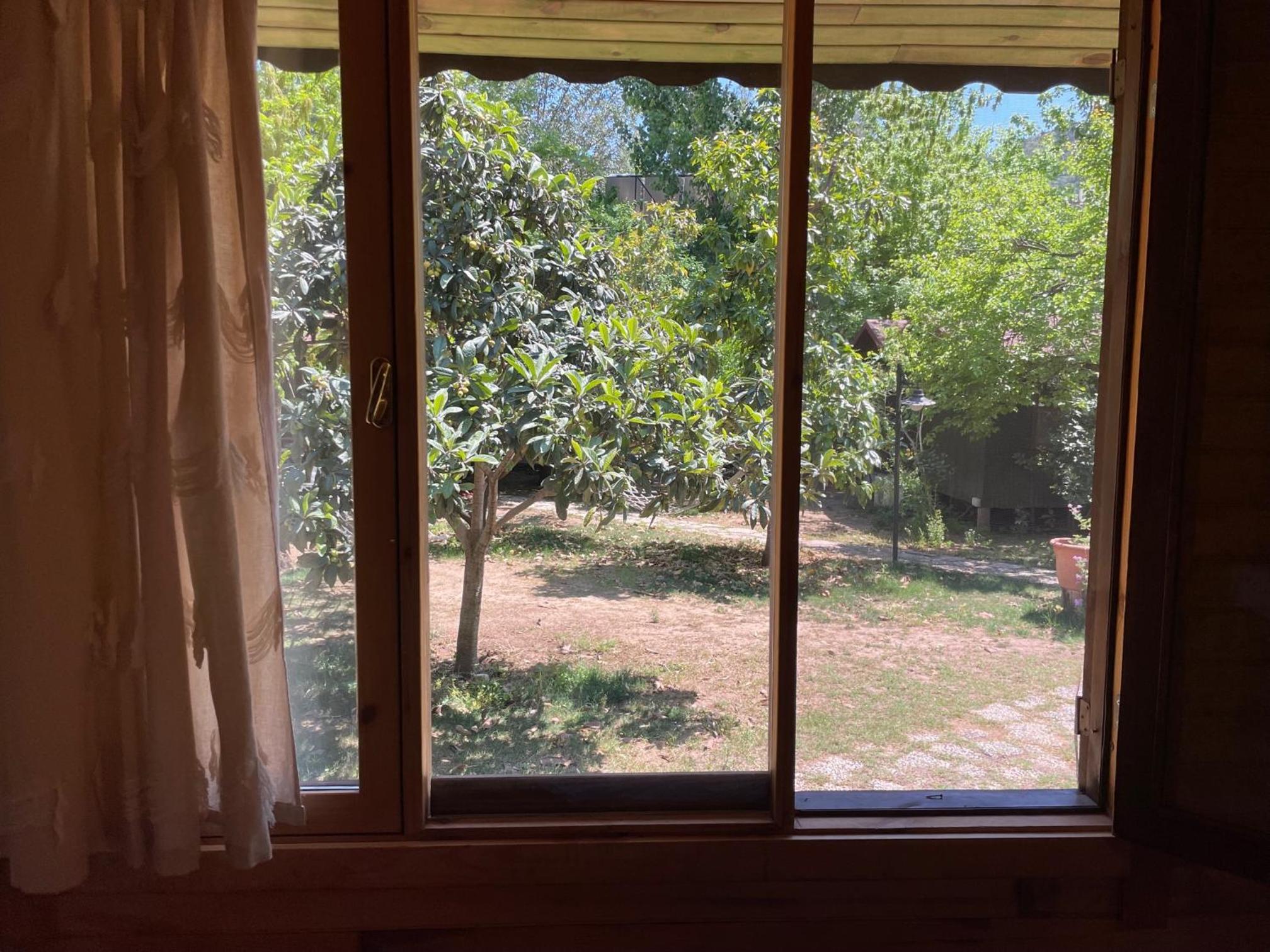 Bungalow with Garden View - Photo 4