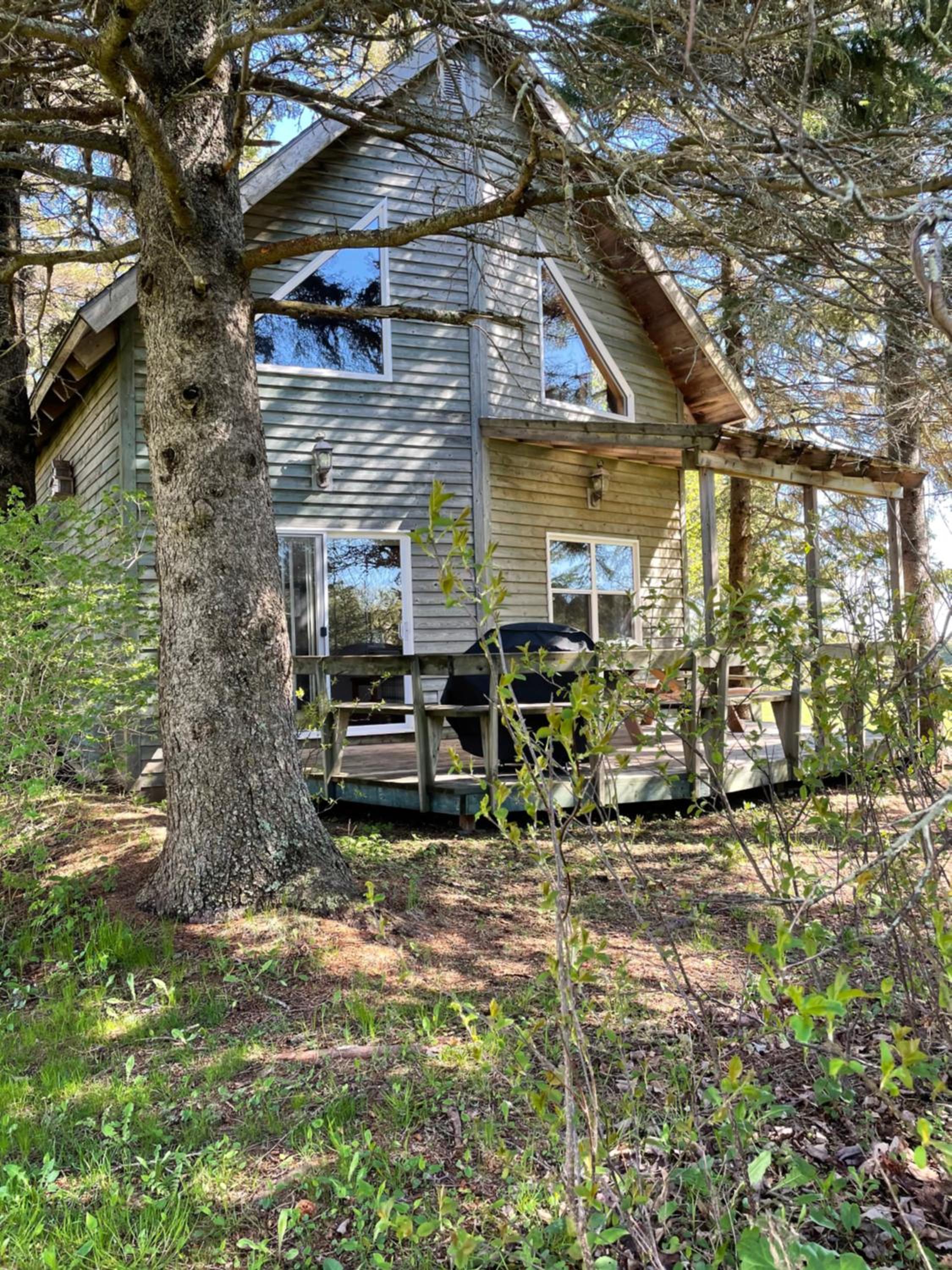 Two-Bedroom Chalet photo 3