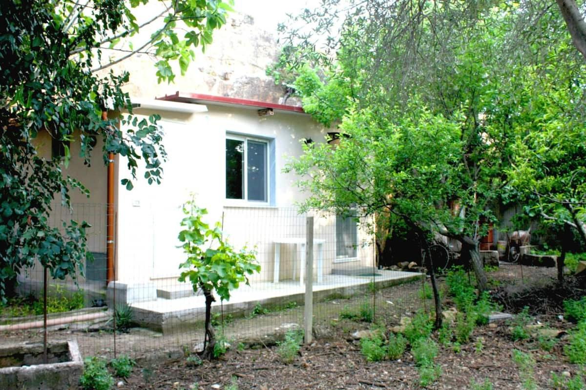 Twin Room with Garden View photo 3