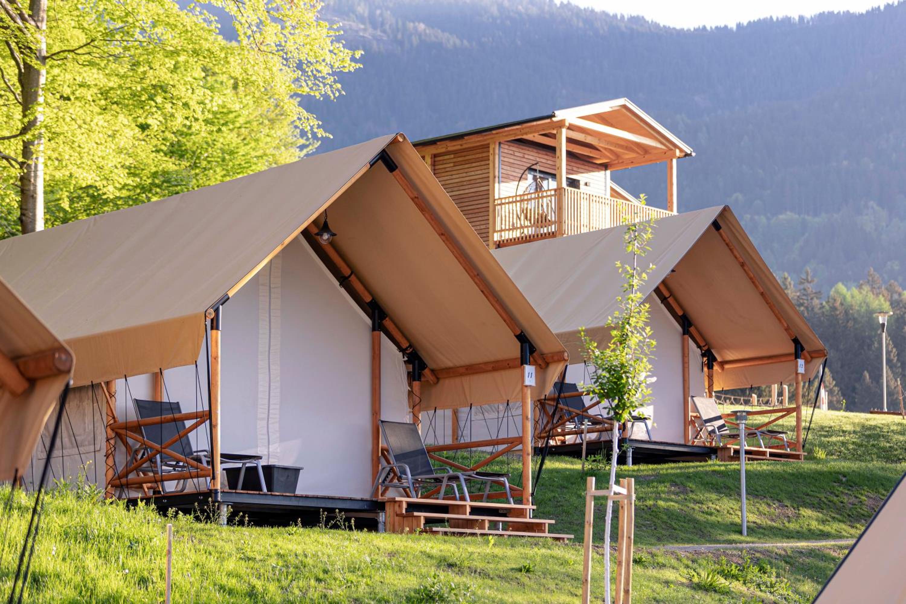 Luxury tent Safari for 6 people photo 1