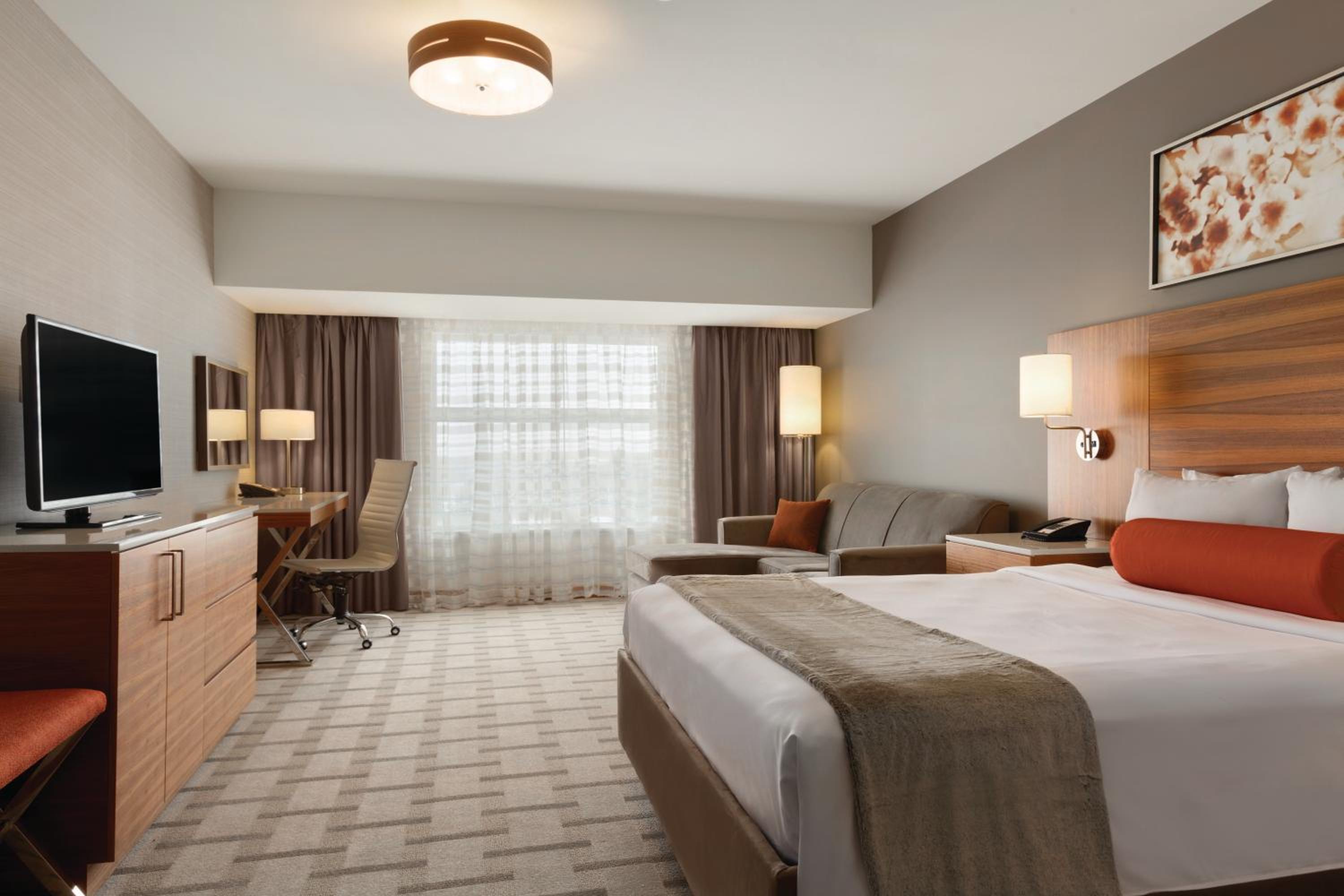 Room with Queen Bed and Sofabed Non-Smoking