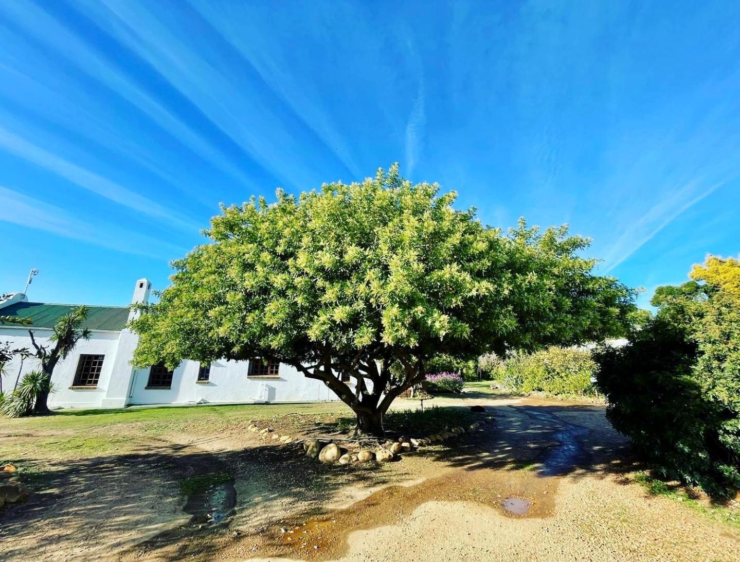 Cottage with panoramic view - Photo 91