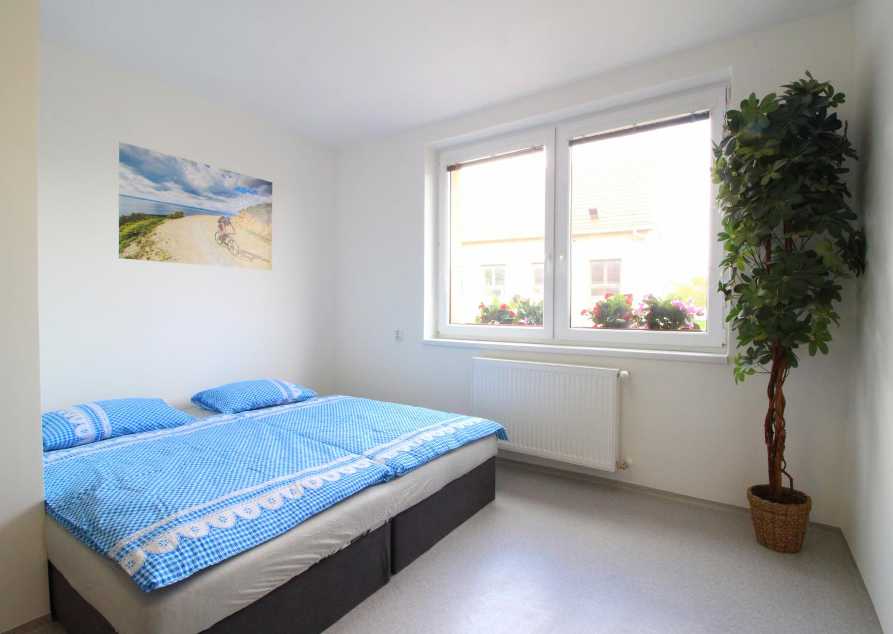 Double or Twin Room photo 3