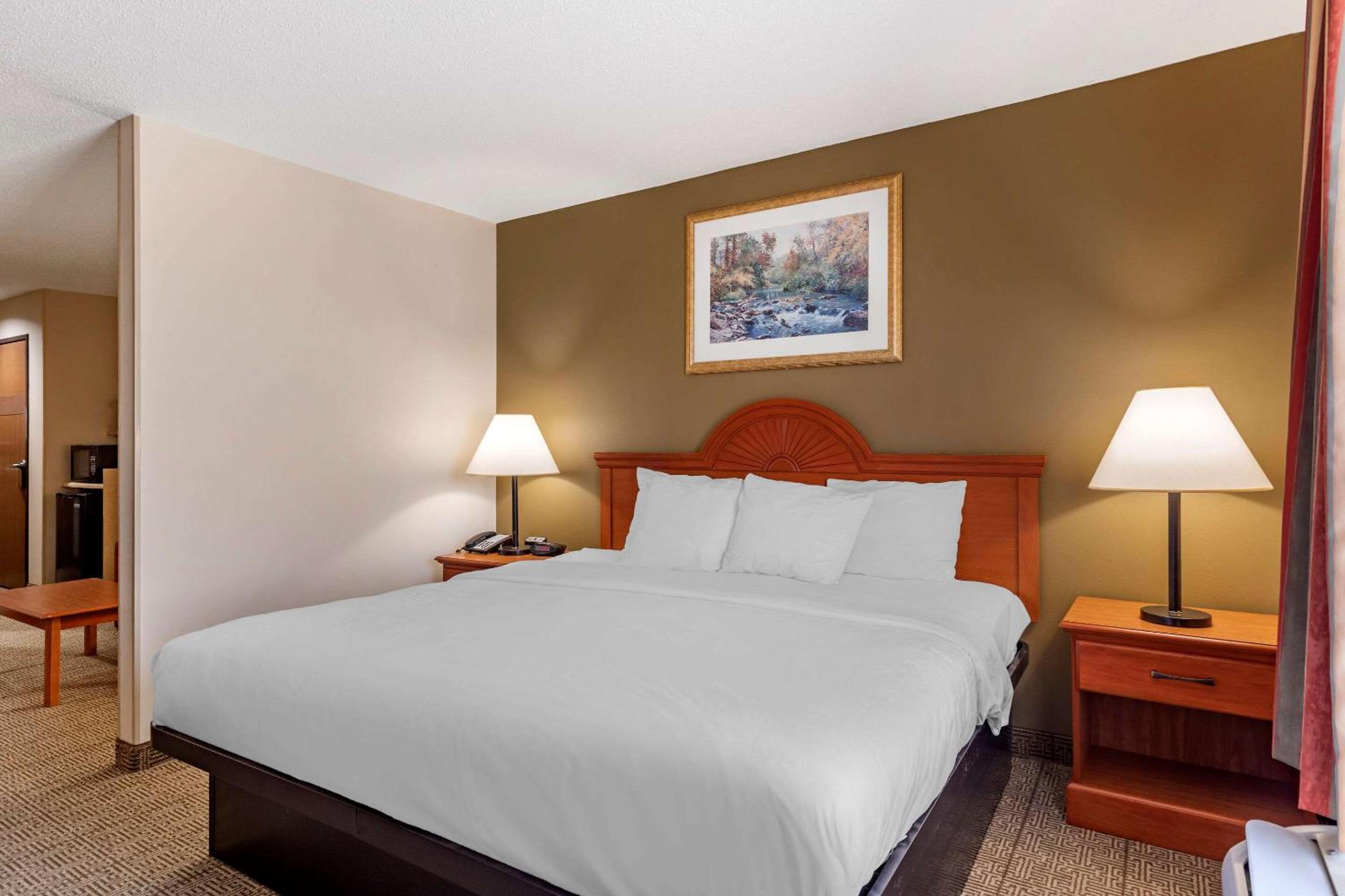 King Suite - Non-Smoking - Photo 10
