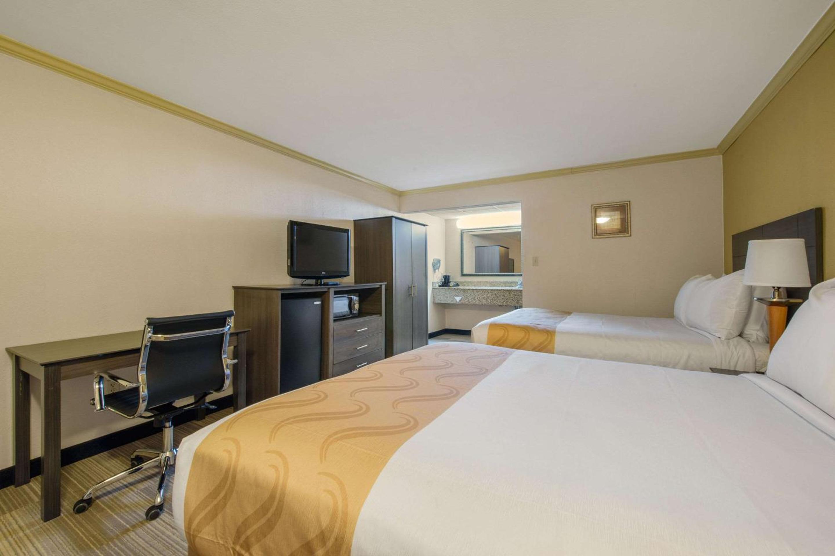 Deluxe Quadruple Room photo 3