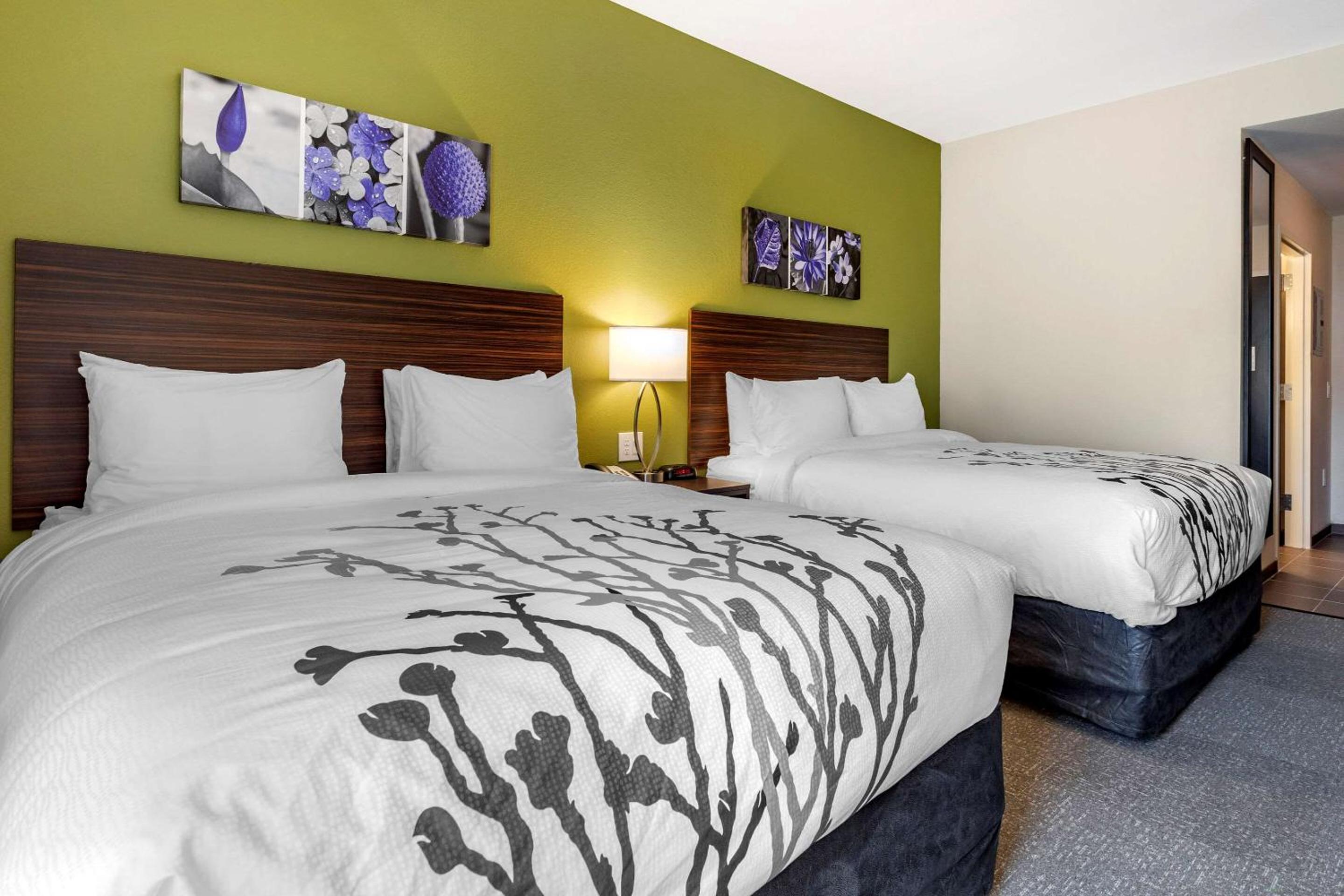 Standard Queen Room With Two Queen Beds - Non Smoking