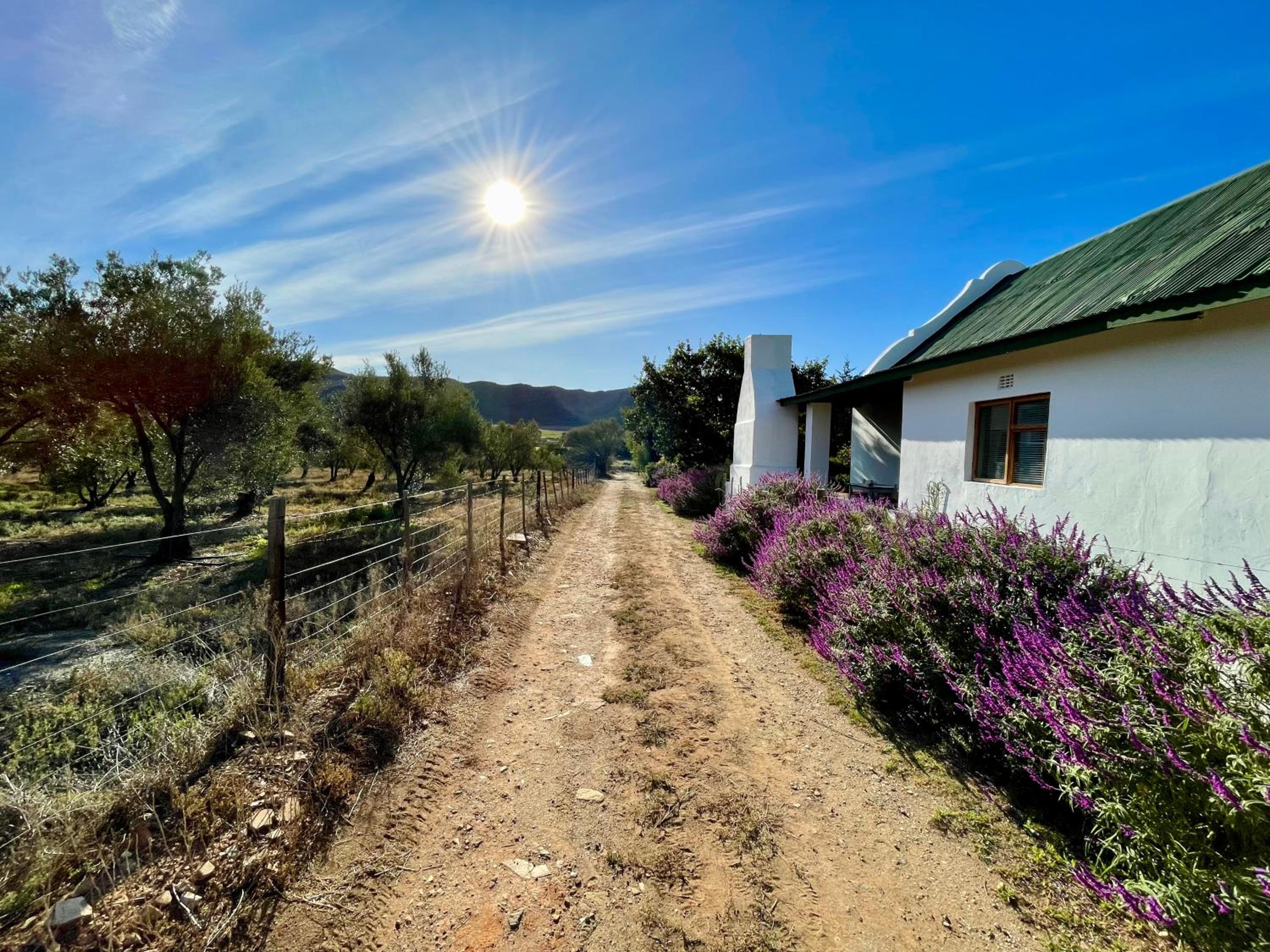 Cottage with panoramic view - Photo 17