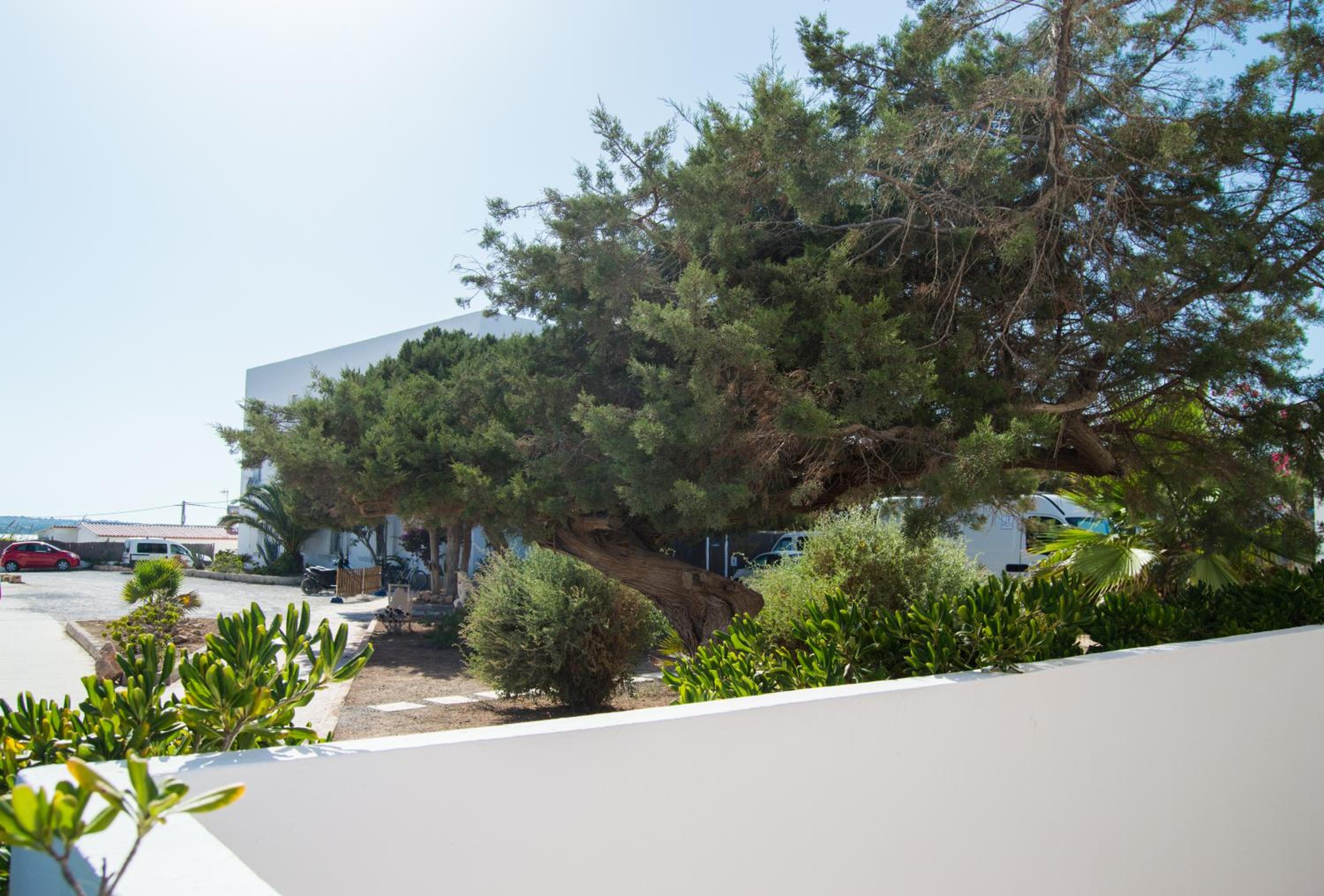 Double or Twin Room with Garden View photo 2