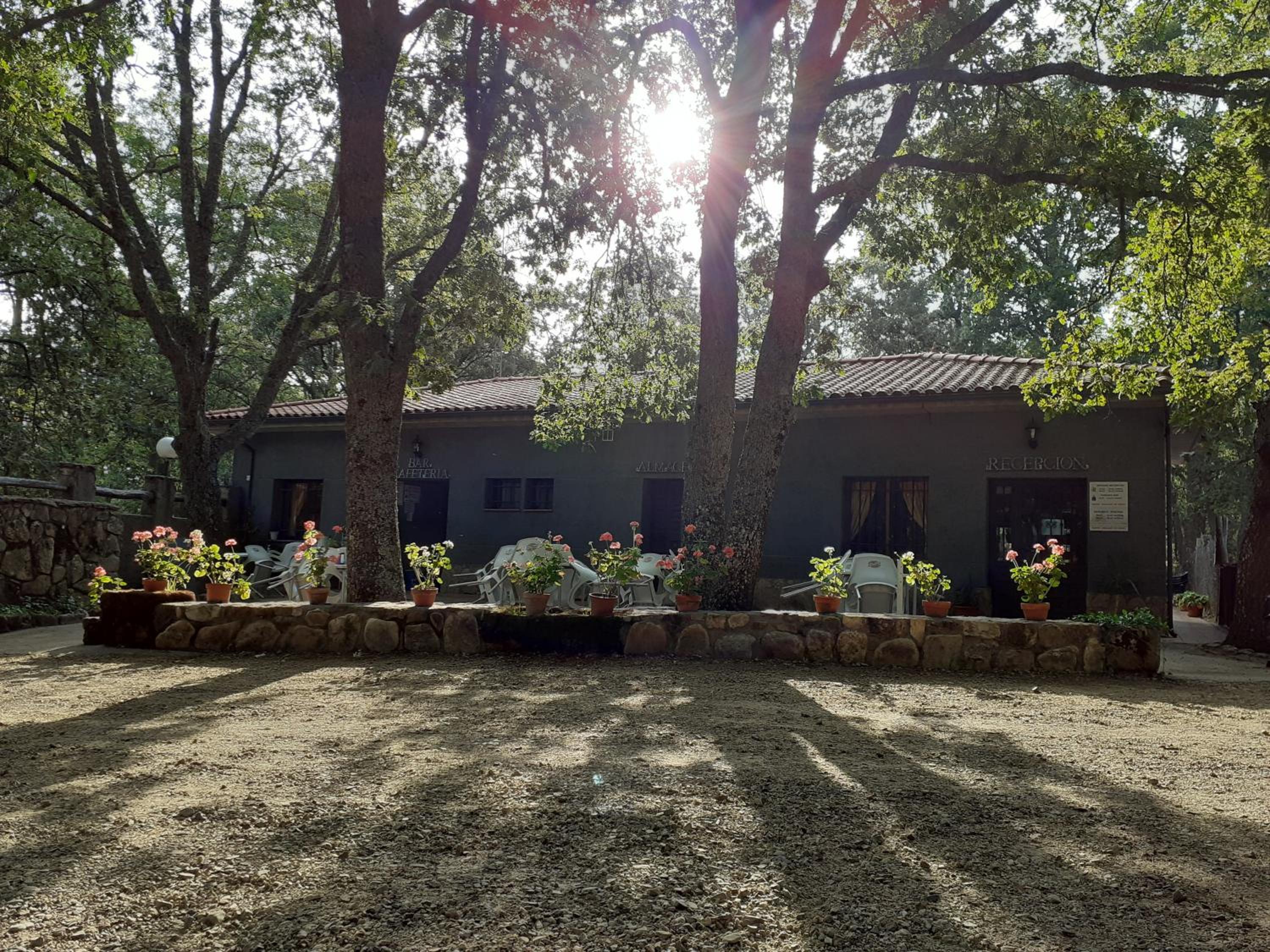 Standard Bungalow photo 3